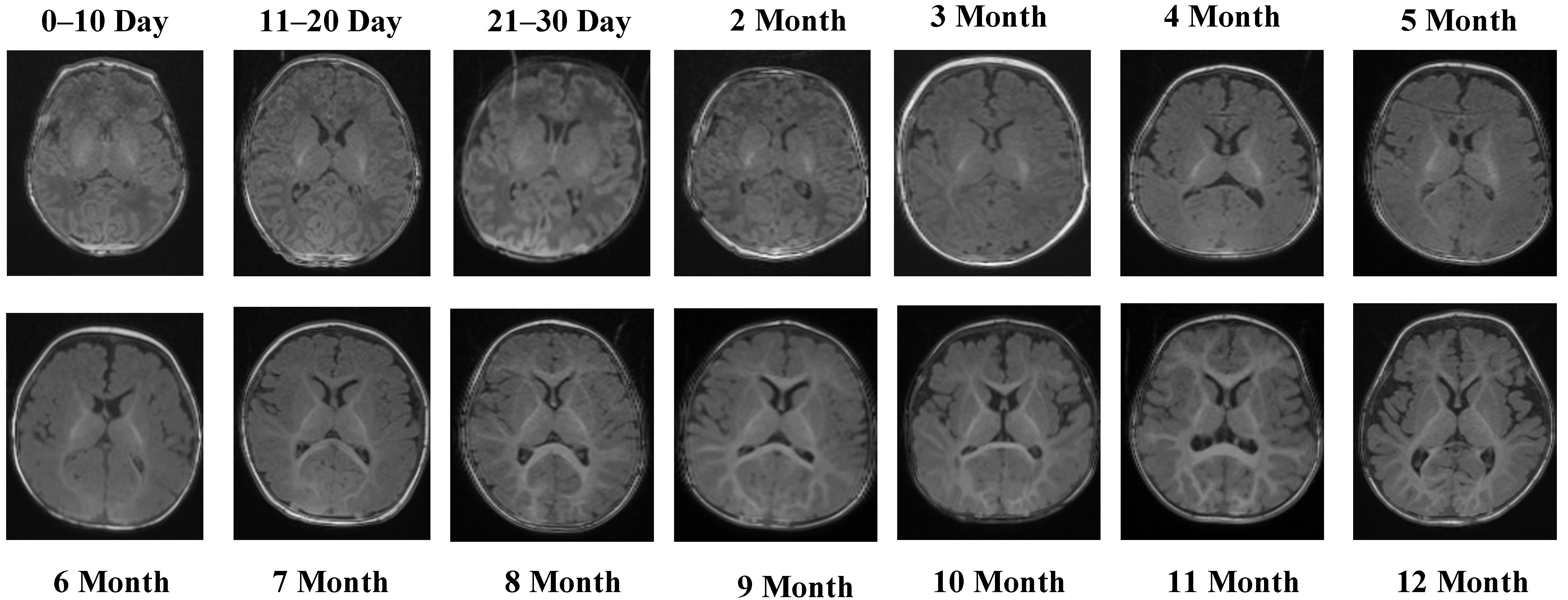 Jcm 14 07299 g001 Jcm 14 07299 g001