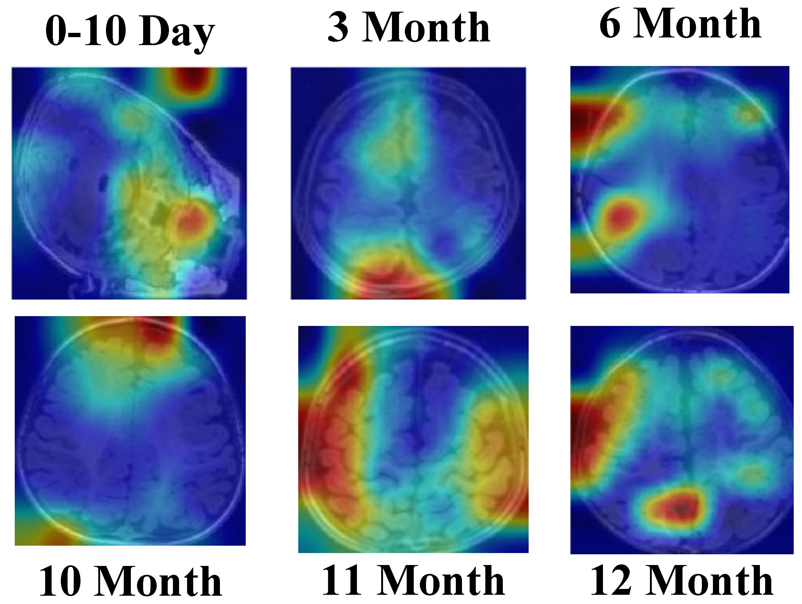 Jcm 14 07299 g019 Jcm 14 07299 g019