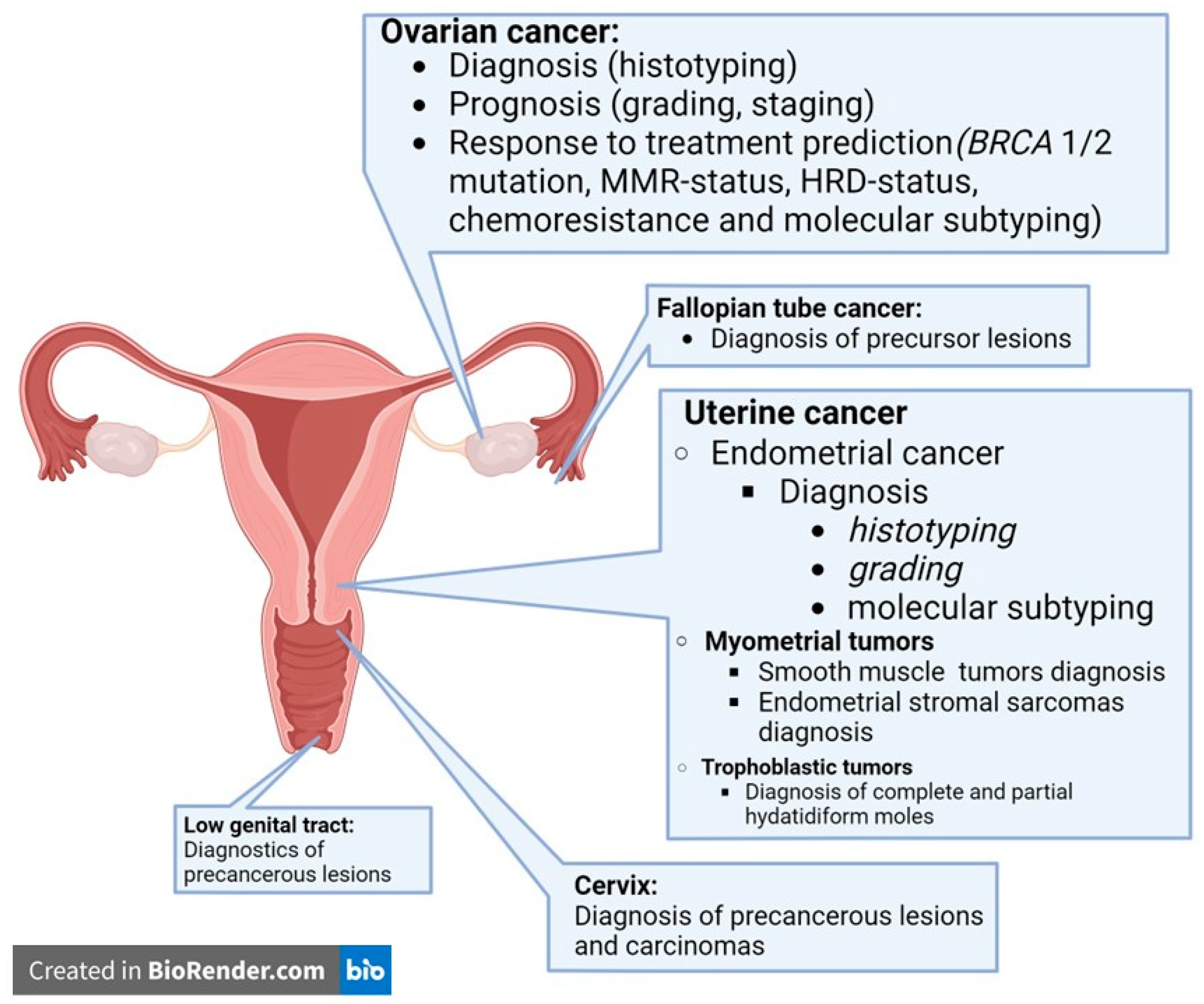 Jcm 14 07465 g001 Jcm 14 07465 g001
