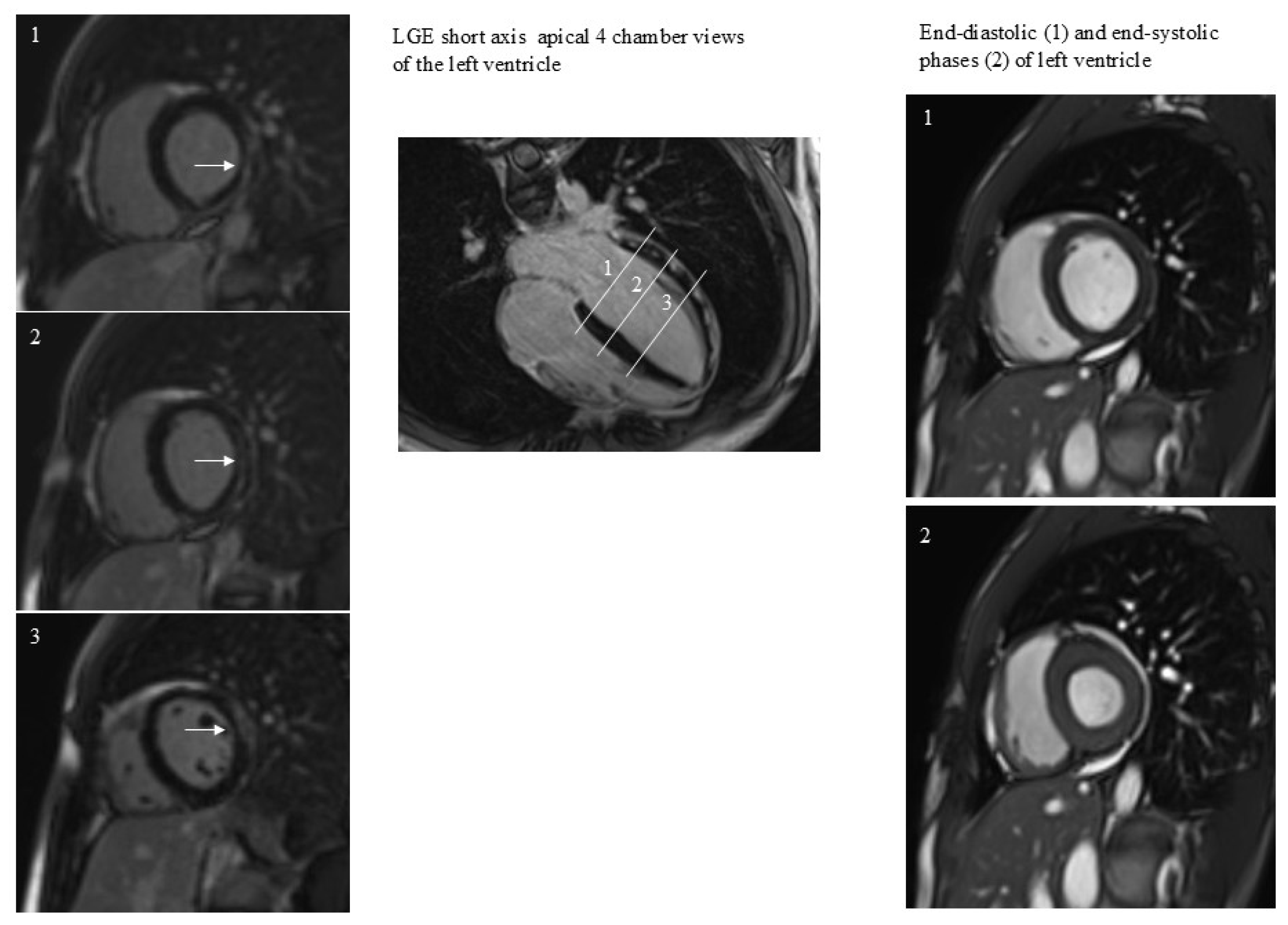 Jcm 14 07477 g001 Jcm 14 07477 g001