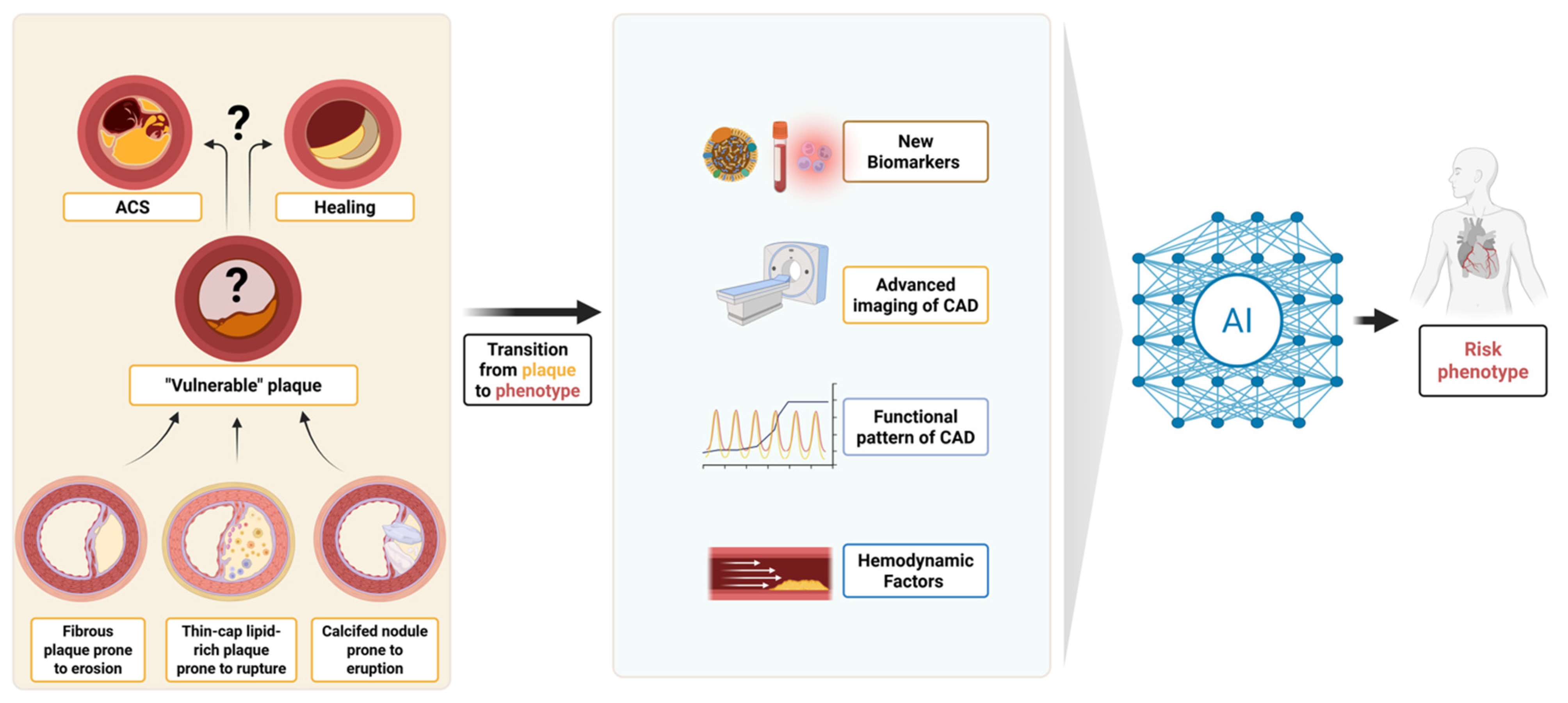 Jcm 14 07568 g001 Jcm 14 07568 g001