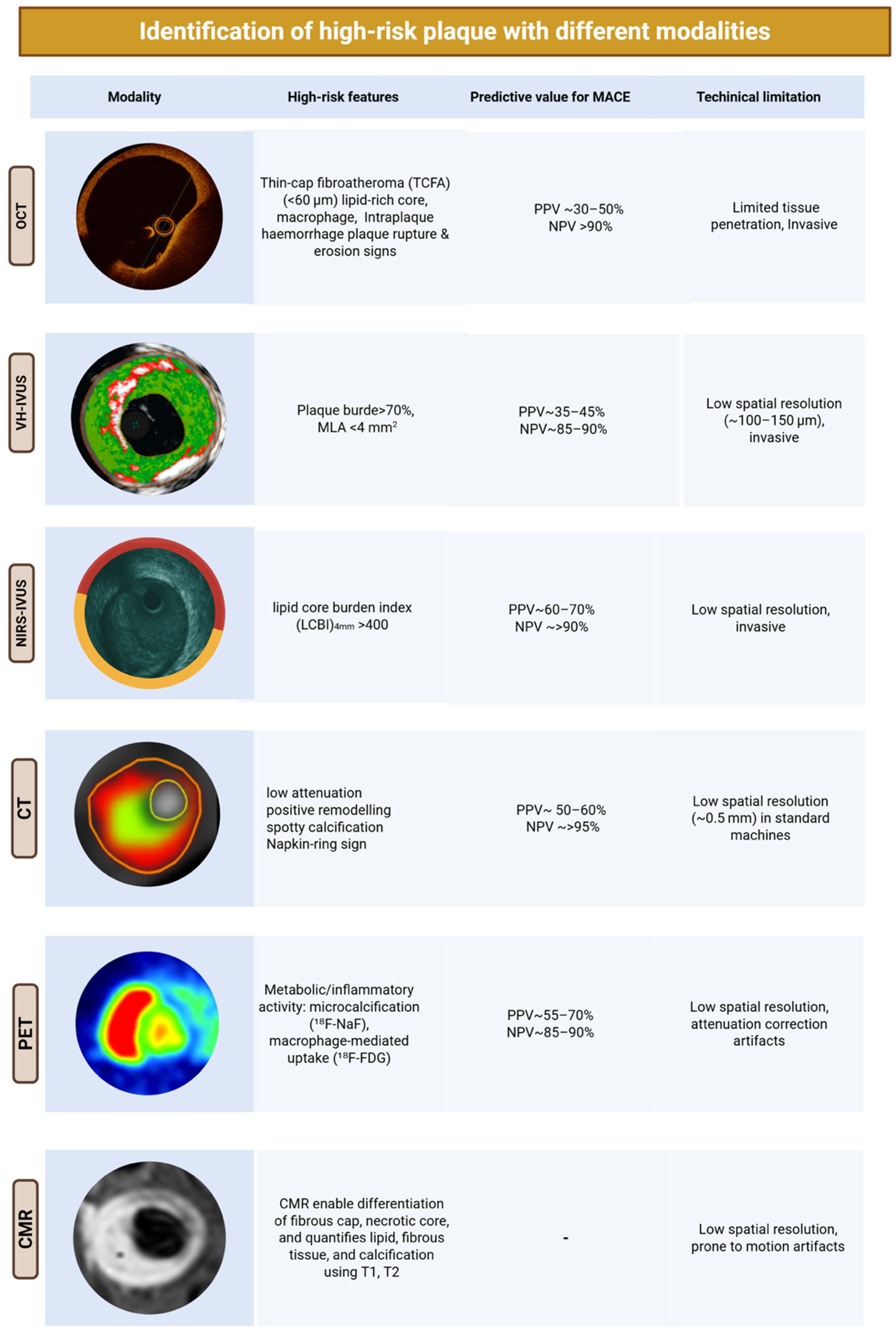 Jcm 14 07568 g002 Jcm 14 07568 g002
