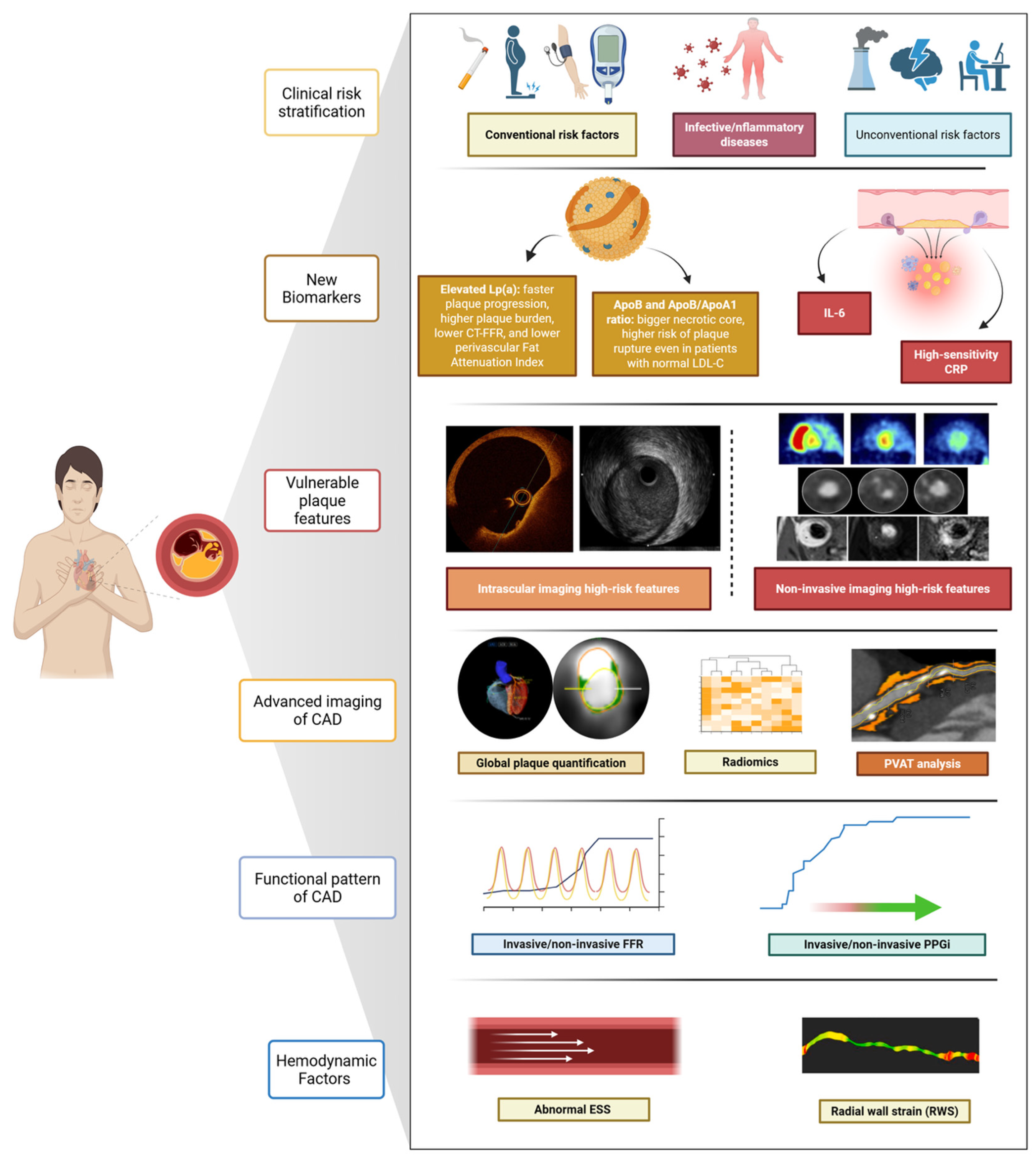 Jcm 14 07568 g003 Jcm 14 07568 g003