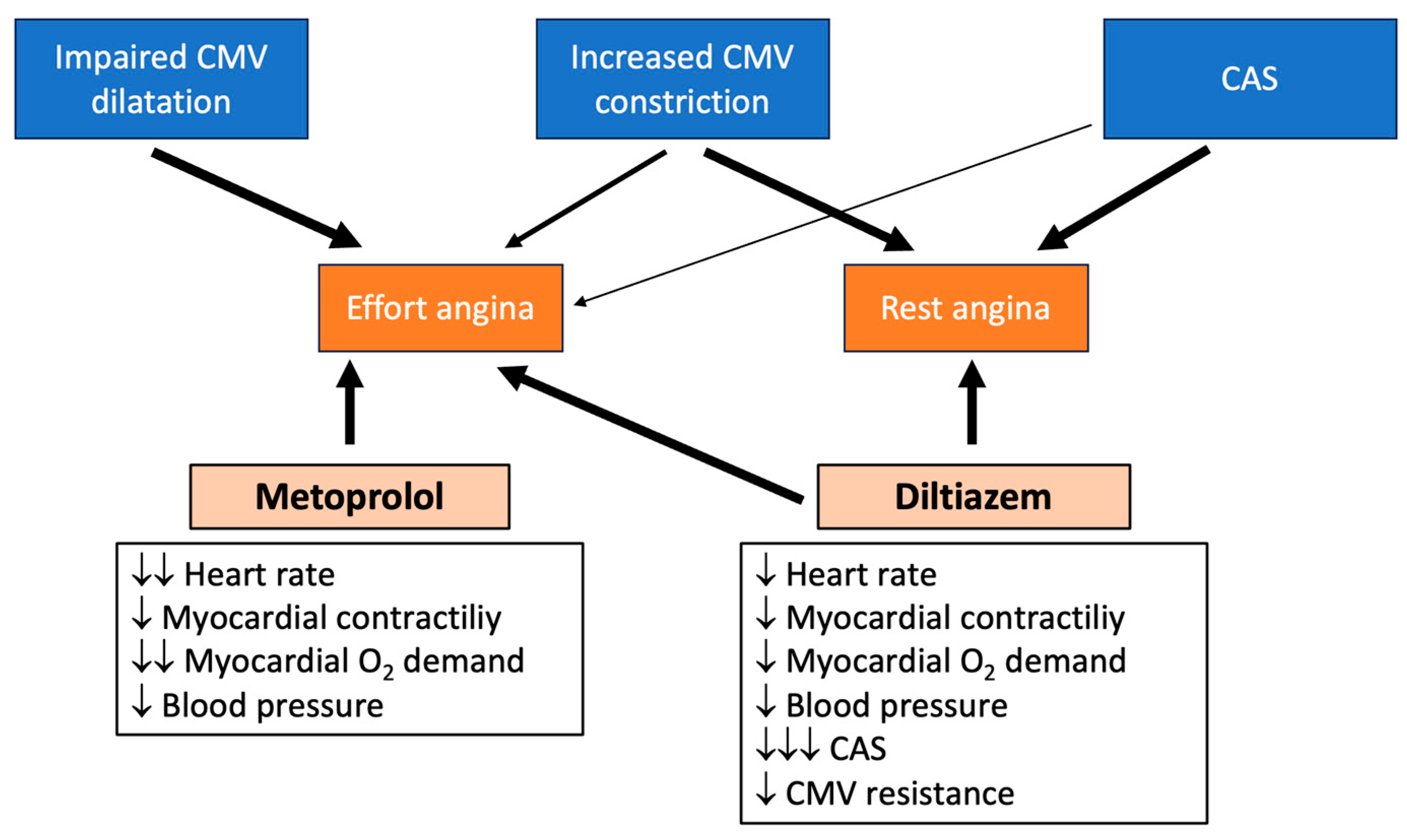 Jcm 14 07635 g002 Jcm 14 07635 g002