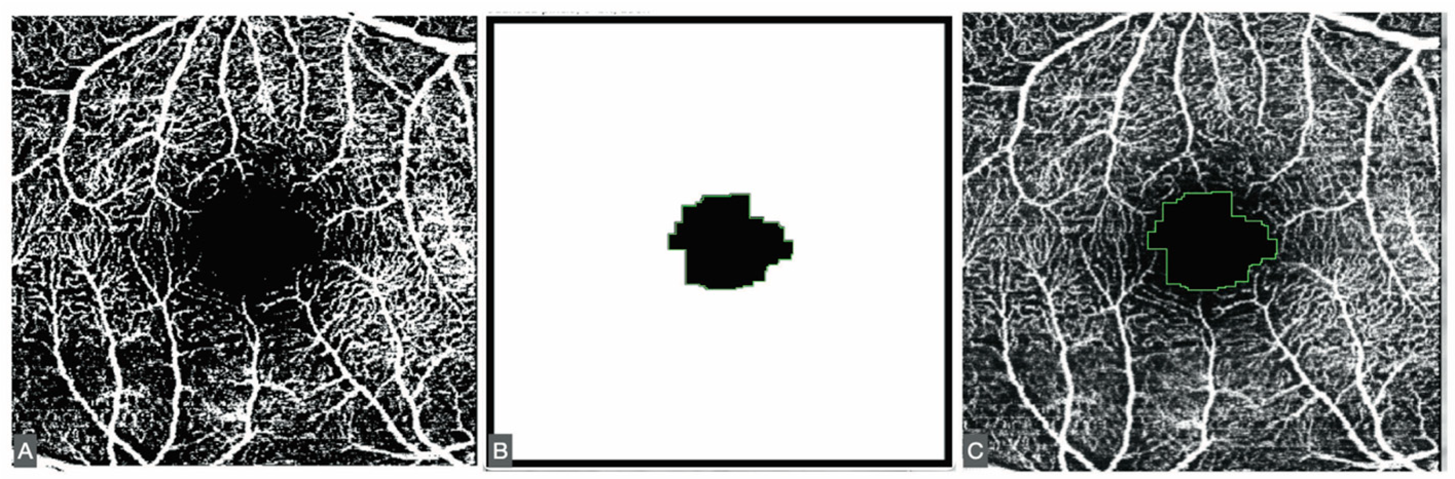 Jcm 14 07674 g001 Jcm 14 07674 g001