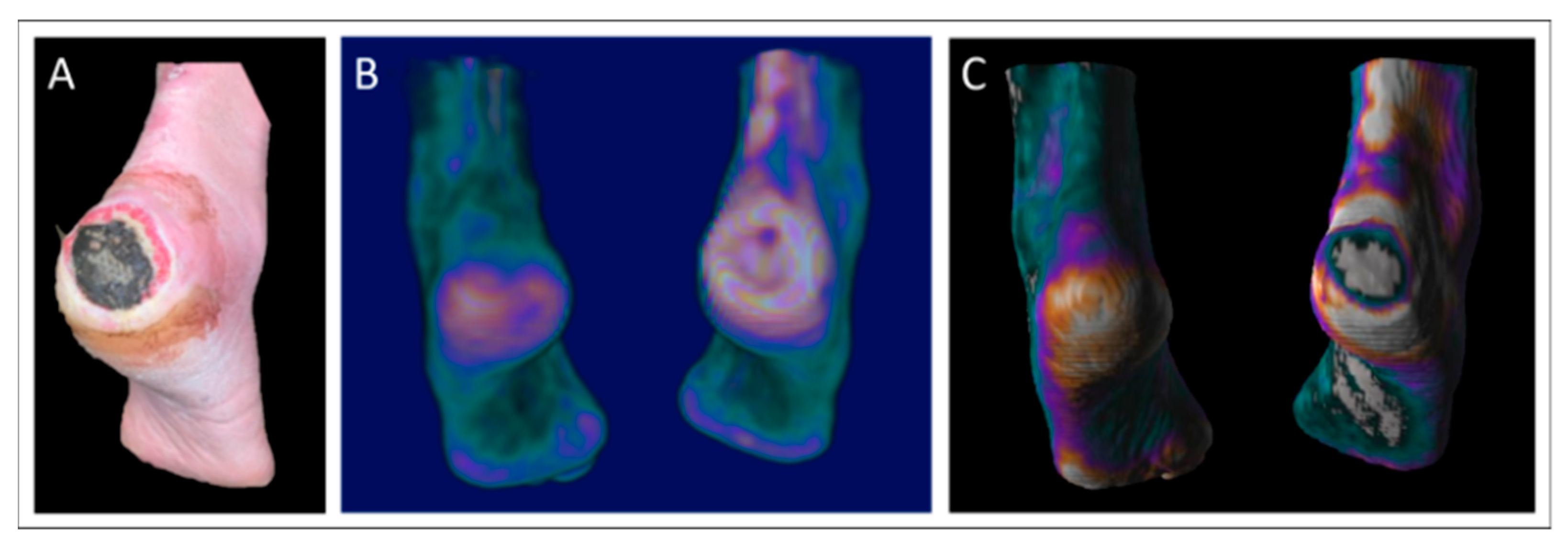 Jcm 14 07704 g005 Jcm 14 07704 g005
