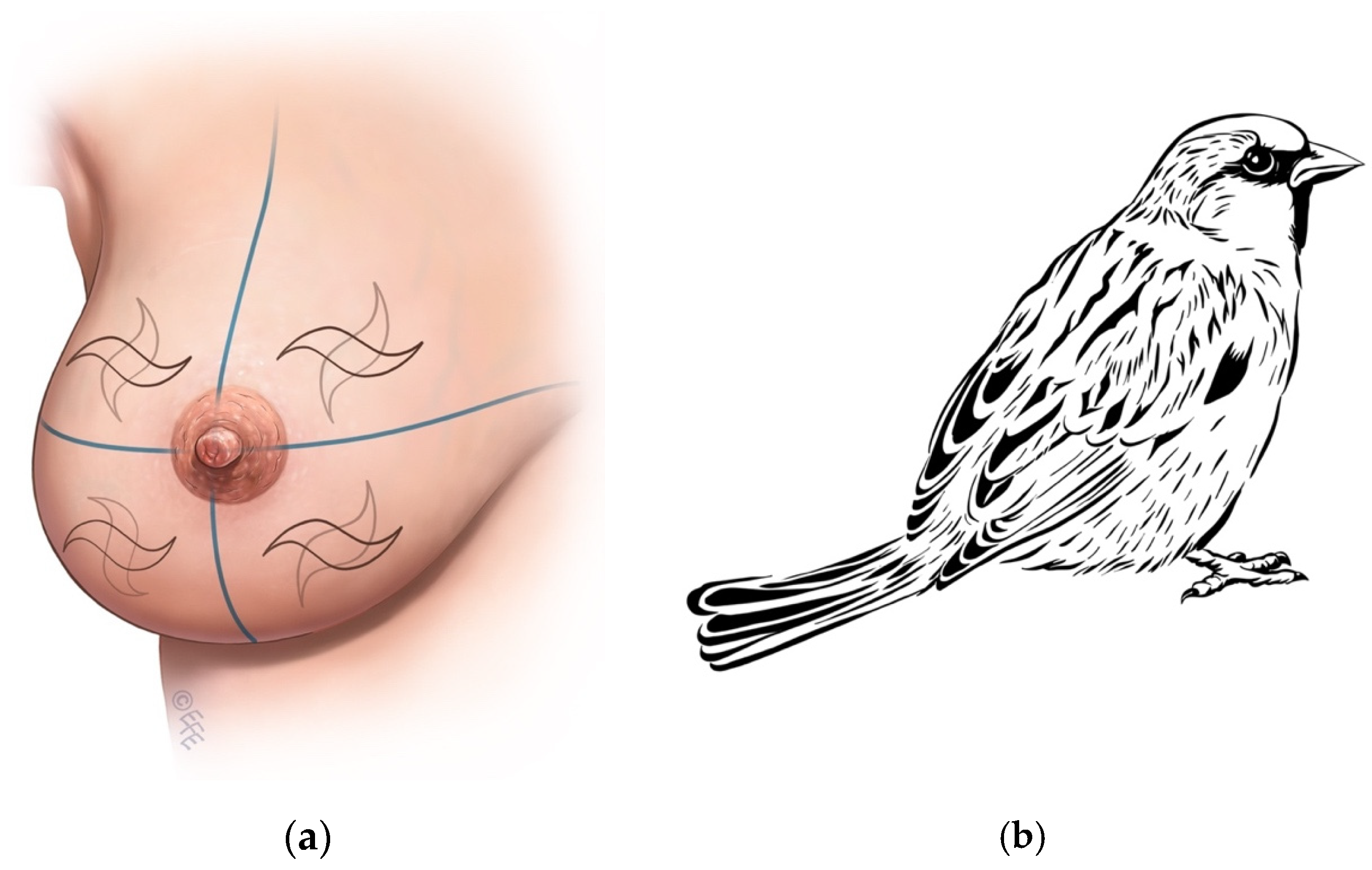 Jcm 14 07706 g002 Jcm 14 07706 g002