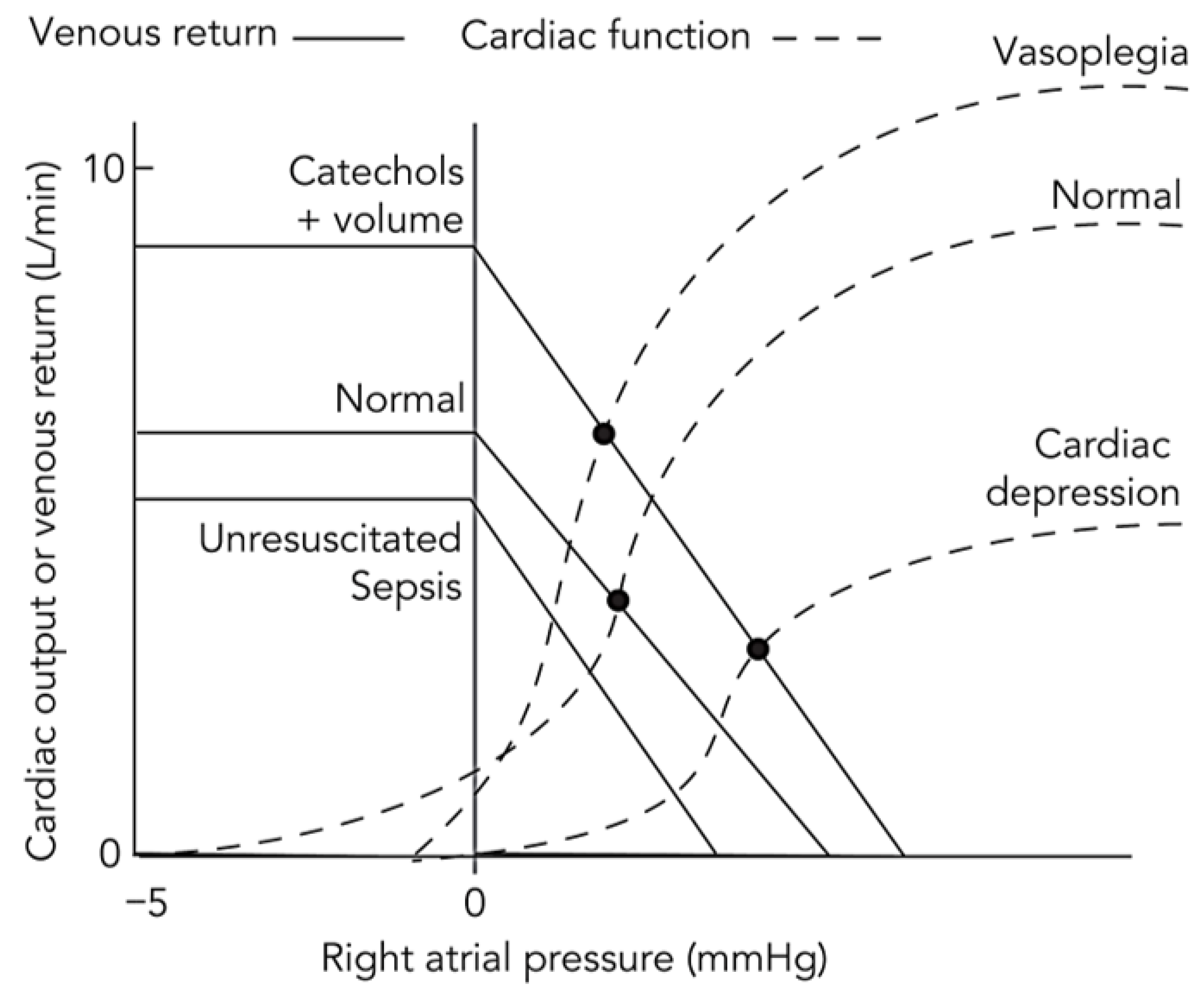 Jcm 14 07844 g001 Jcm 14 07844 g001