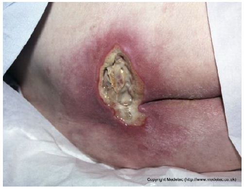 Jcm 14 08825 i002 Jcm 14 08825 i002