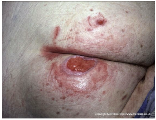 Jcm 14 08825 i003 Jcm 14 08825 i003