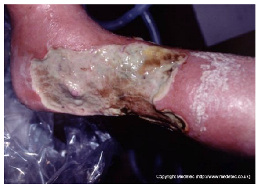 Jcm 14 08825 i005 Jcm 14 08825 i005