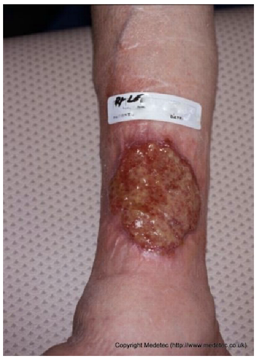 Jcm 14 08825 i006 Jcm 14 08825 i006