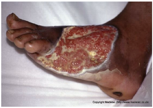 Jcm 14 08825 i007 Jcm 14 08825 i007