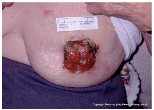 Jcm 14 08825 i009 Jcm 14 08825 i009