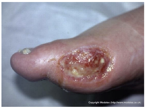 Jcm 14 08825 i012 Jcm 14 08825 i012