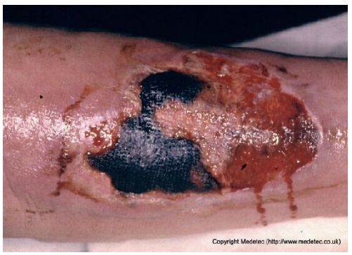 Jcm 14 08825 i015 Jcm 14 08825 i015