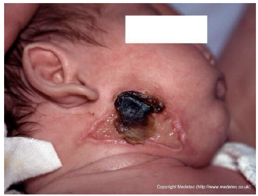 Jcm 14 08825 i016 Jcm 14 08825 i016