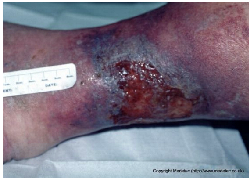 Jcm 14 08825 i018 Jcm 14 08825 i018