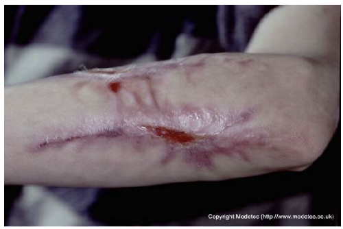 Jcm 14 08825 i020 Jcm 14 08825 i020