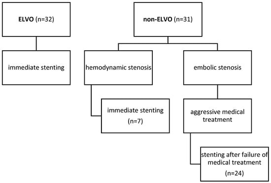 Chart illustrating causes for stenting in our cohort.