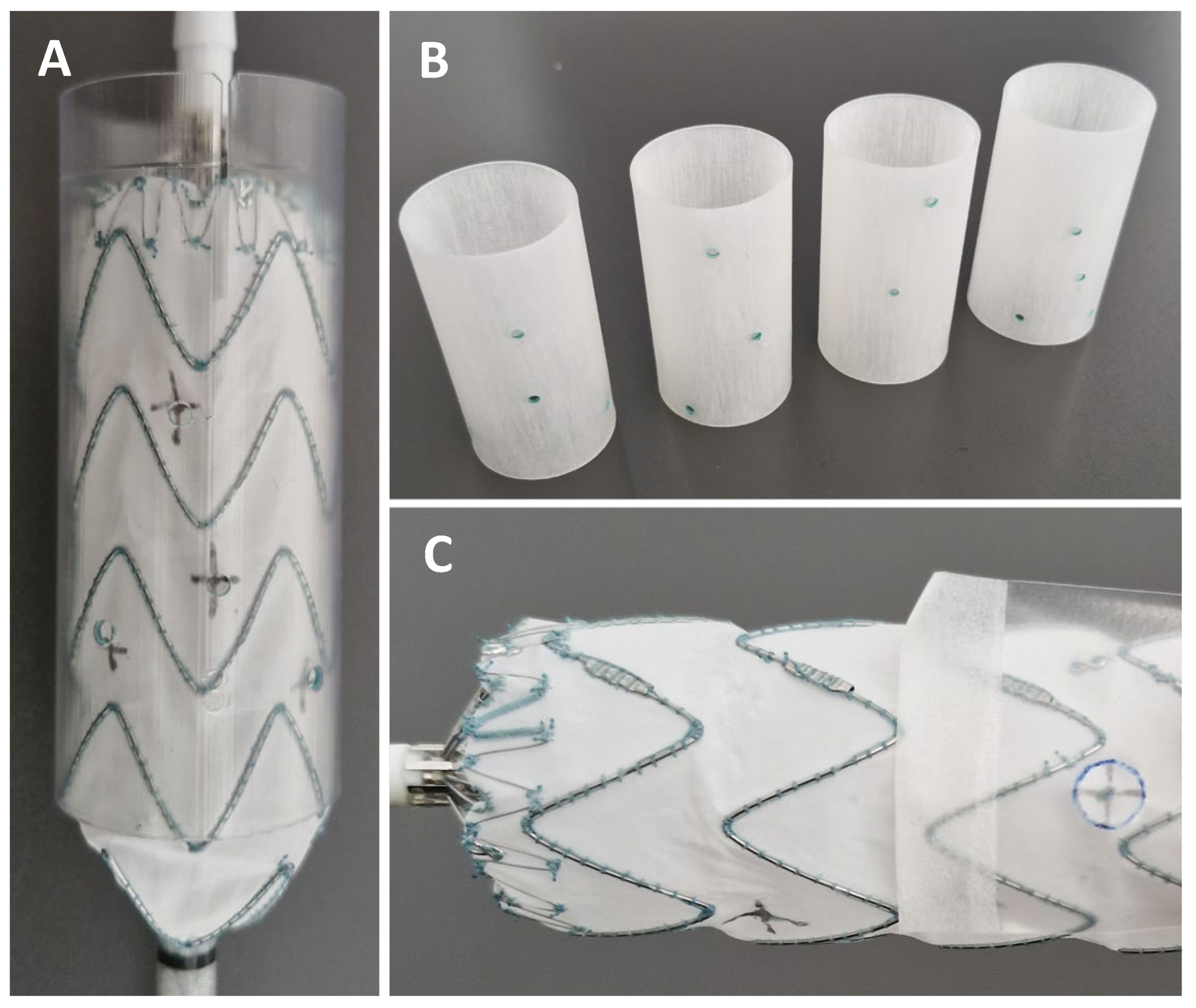 Jcm 15 01663 g002 Jcm 15 01663 g002