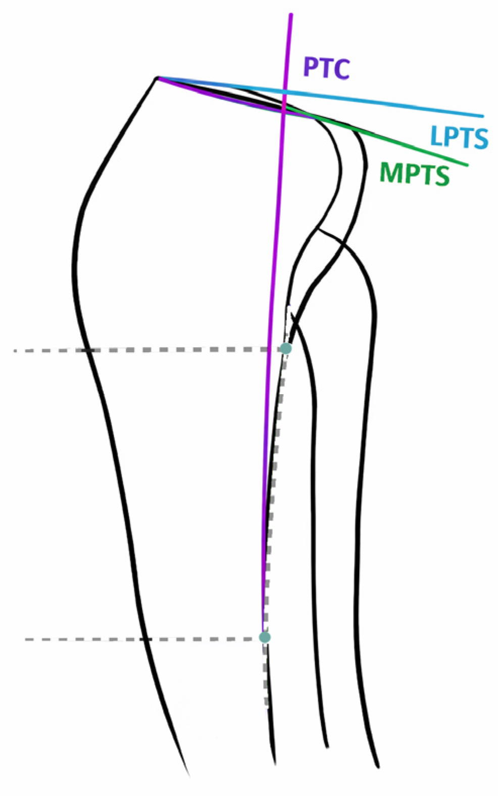 Jcm 15 06054 g002