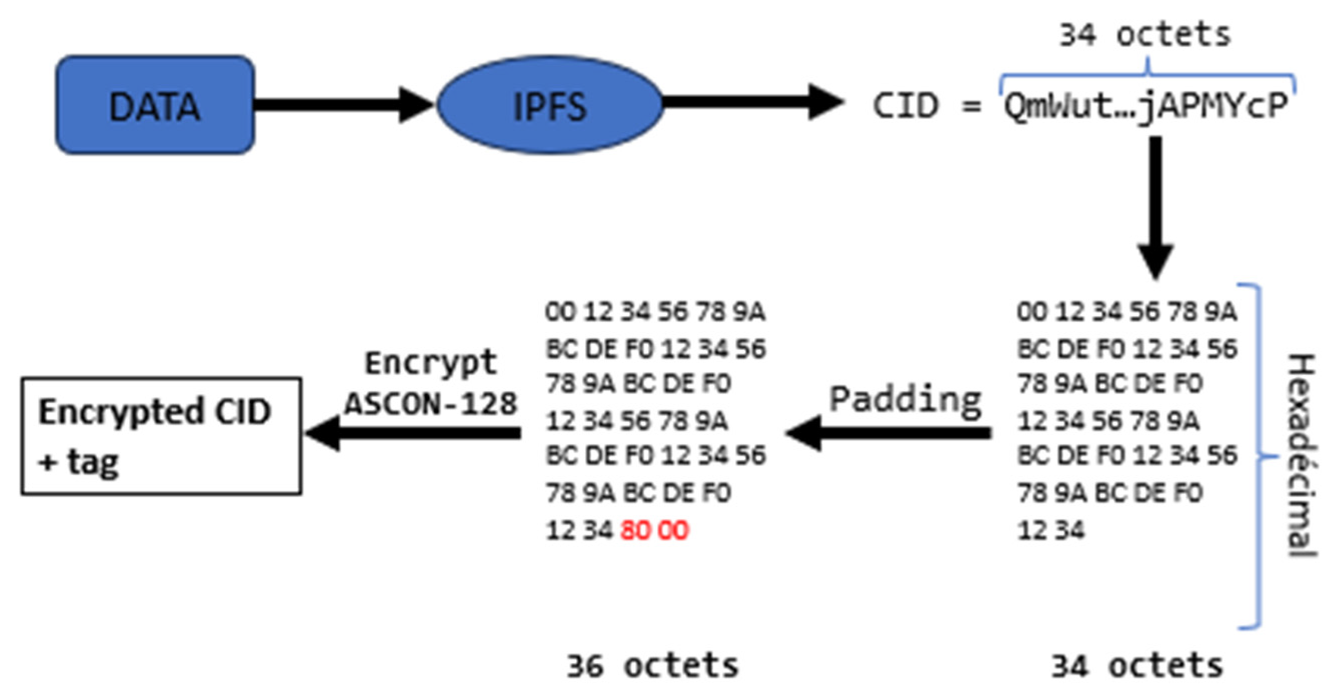 Jcp 05 00016 g007