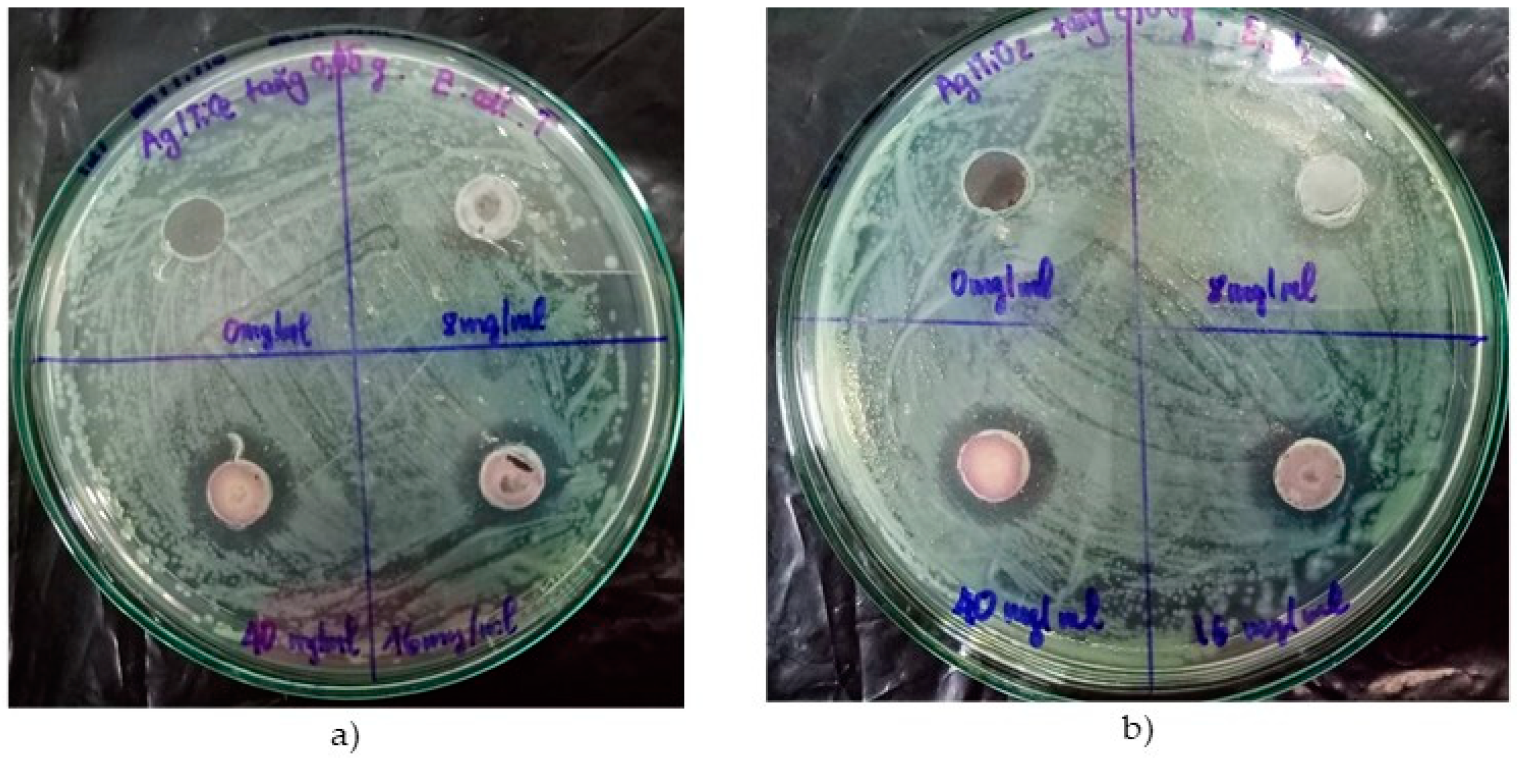 Jcs 03 00061 g008 Jcs 03 00061 g008
