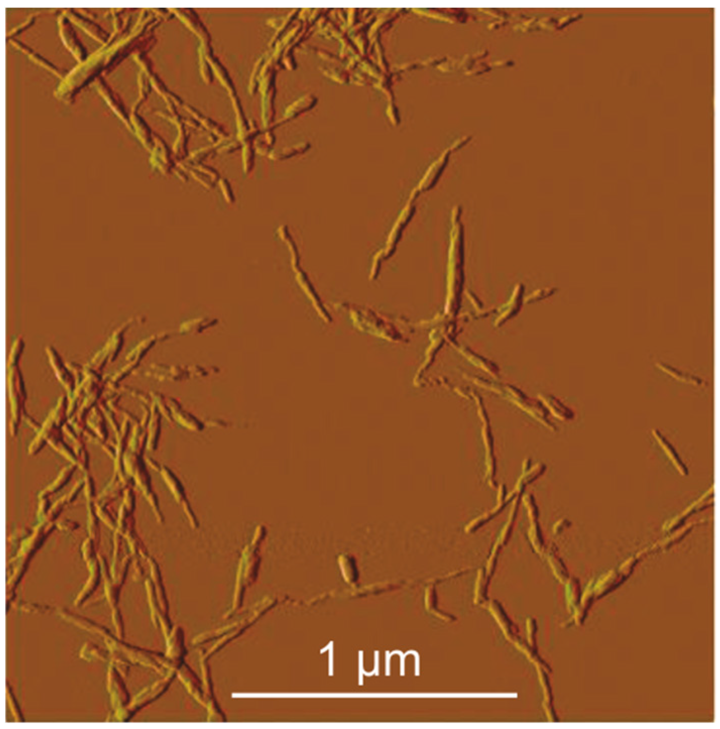 Jcs 03 00084 g002