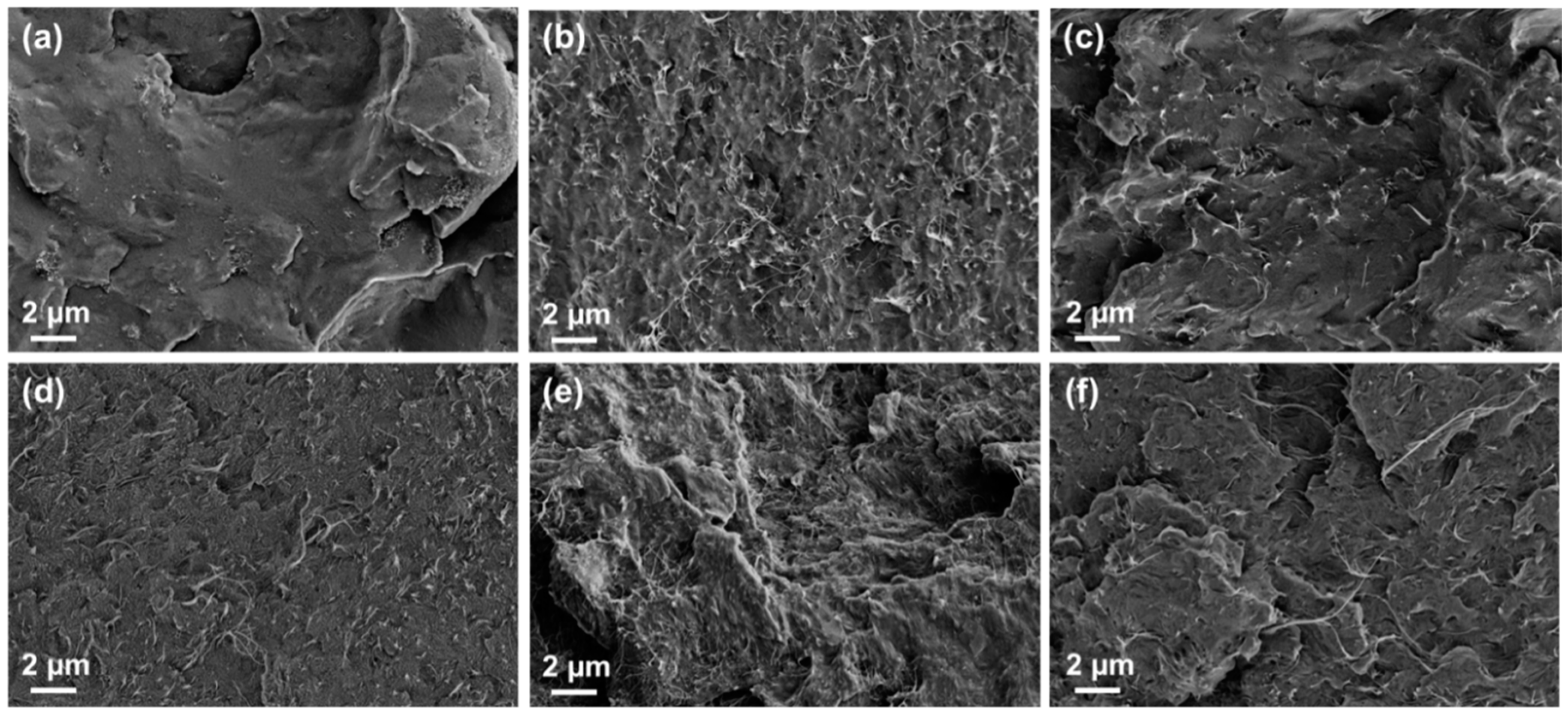 Jcs 04 00009 g004 Jcs 04 00009 g004