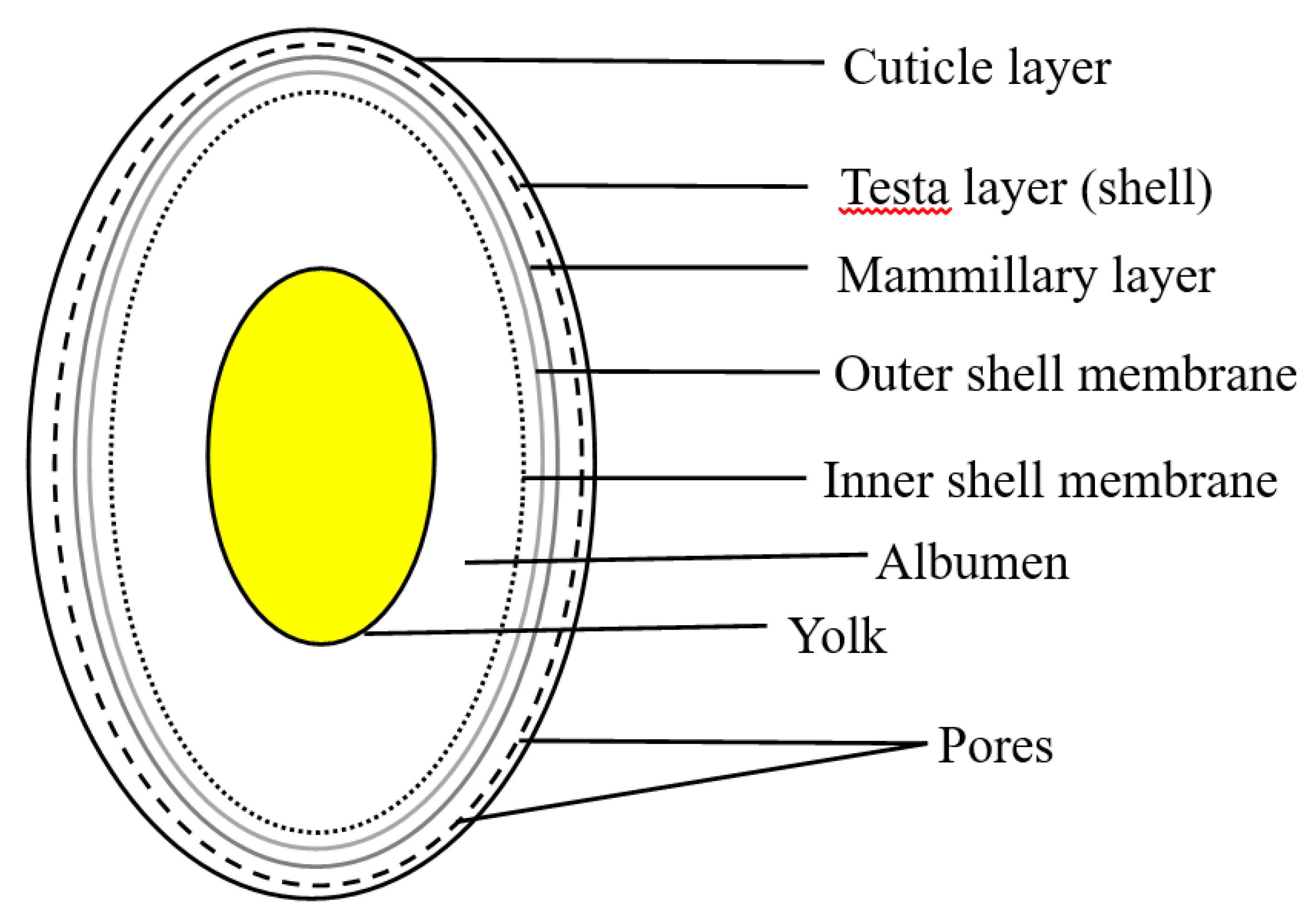 Jcs 04 00070 g001 Jcs 04 00070 g001