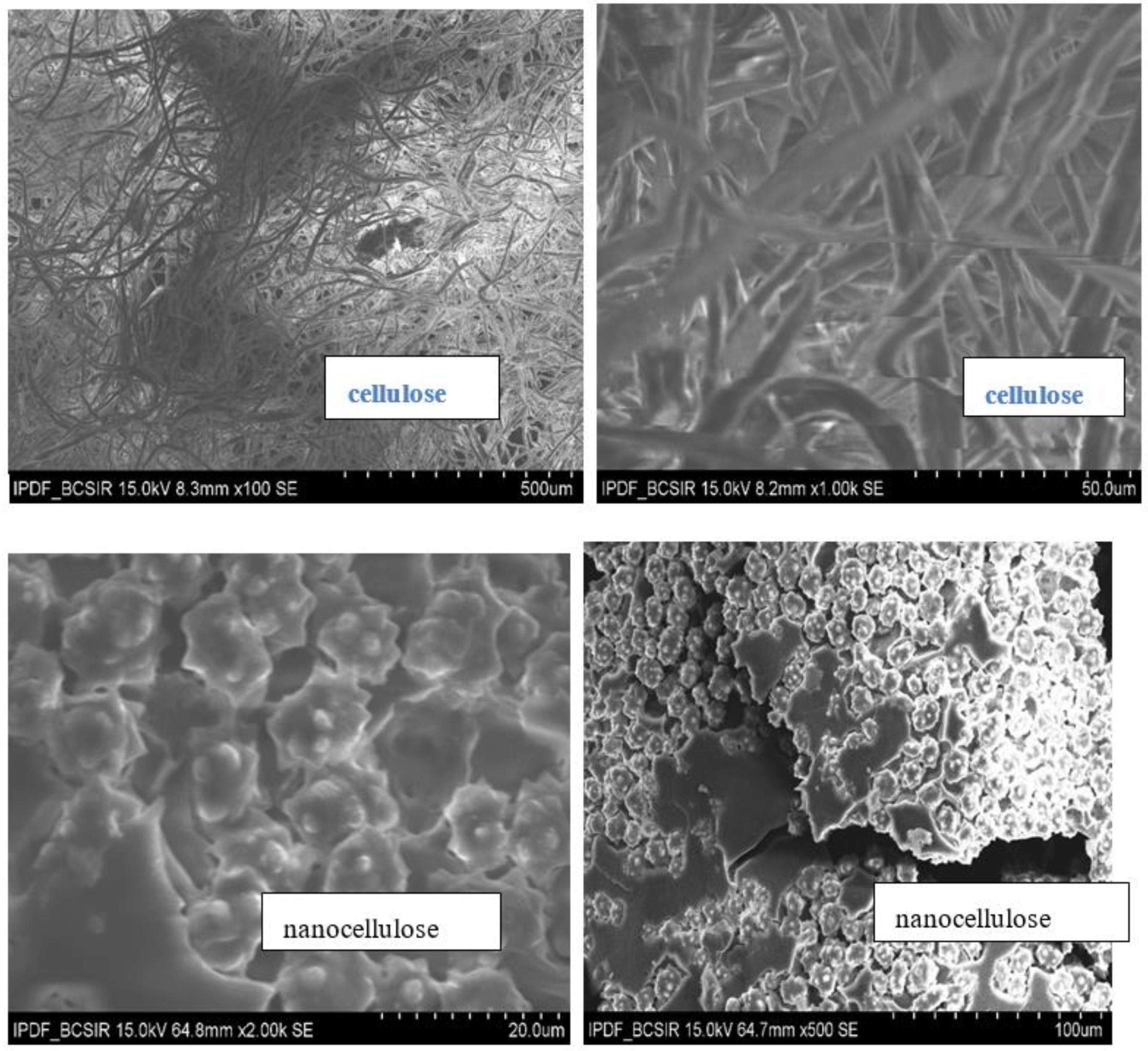 Jcs 04 00083 g003 Jcs 04 00083 g003