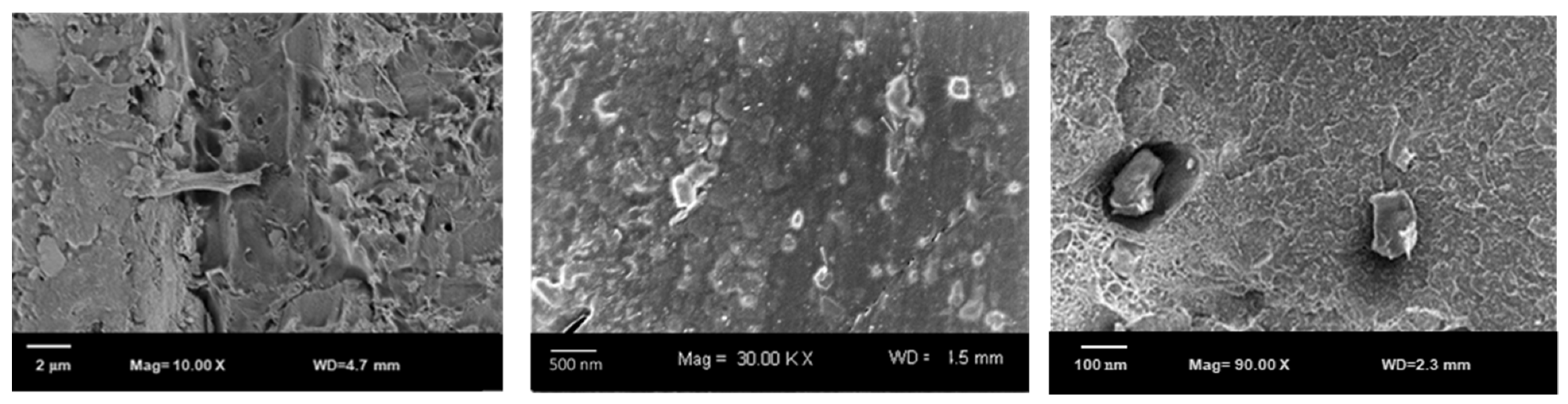 Jcs 05 00043 g006 Jcs 05 00043 g006