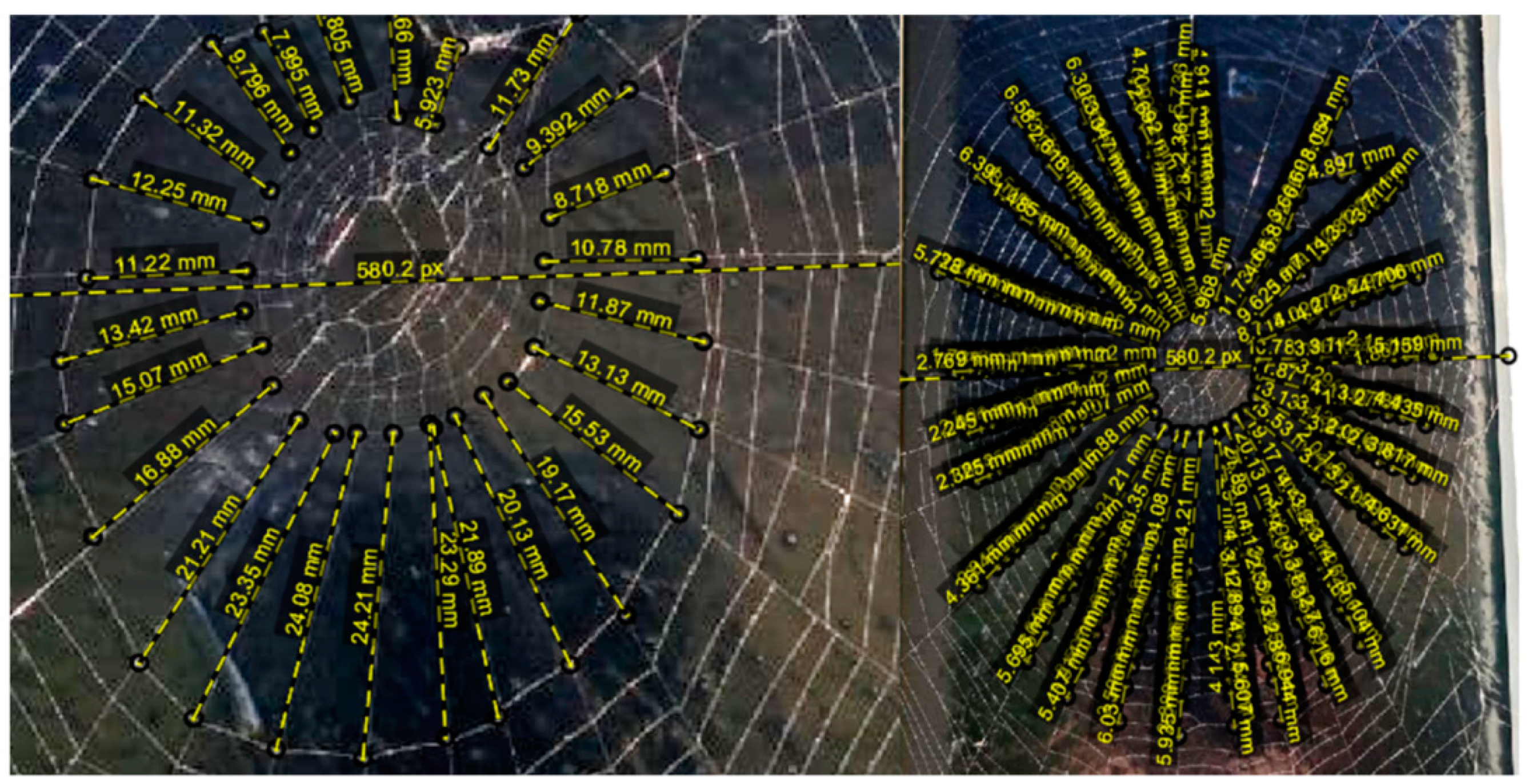 Jcs 05 00057 g008 Jcs 05 00057 g008