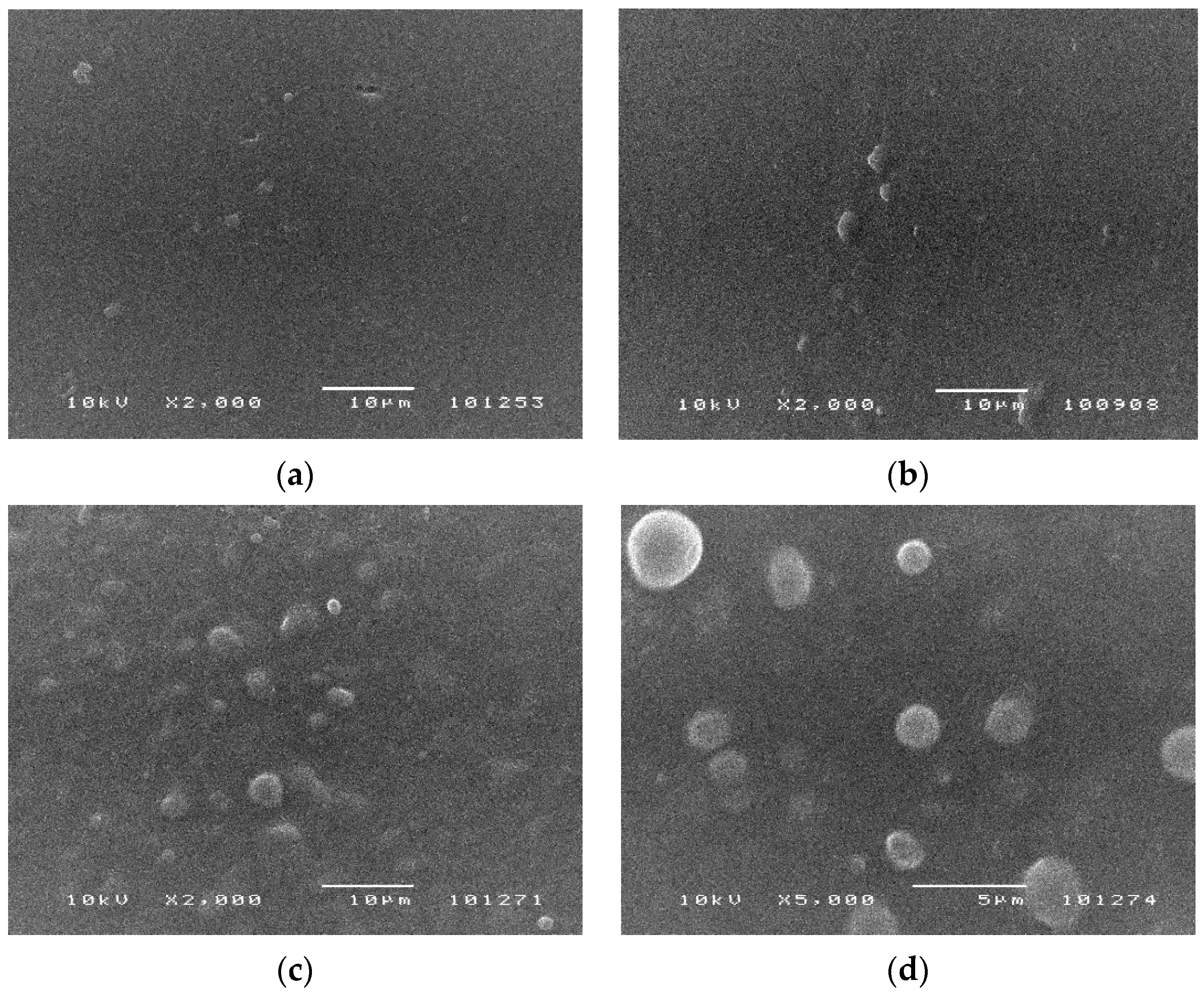 Jcs 05 00098 g001 Jcs 05 00098 g001