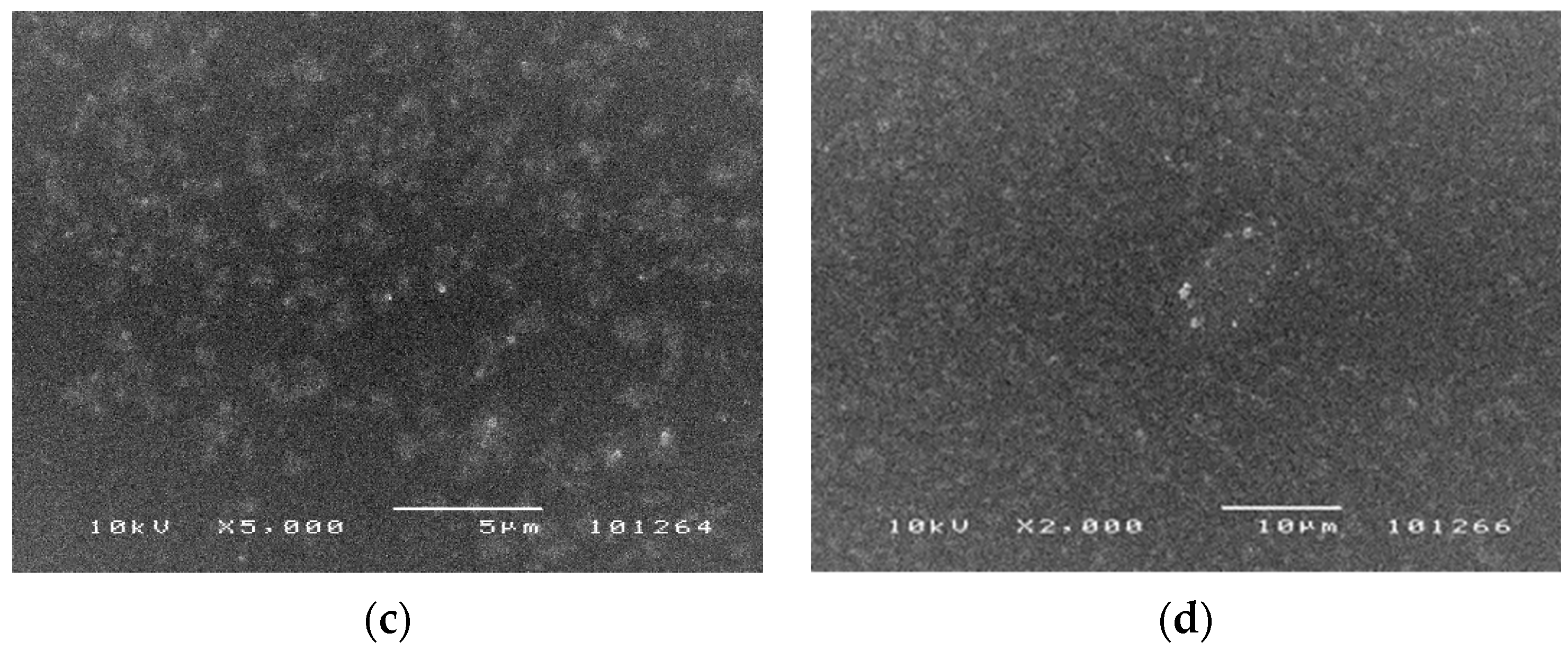 Jcs 05 00098 g002b Jcs 05 00098 g002b