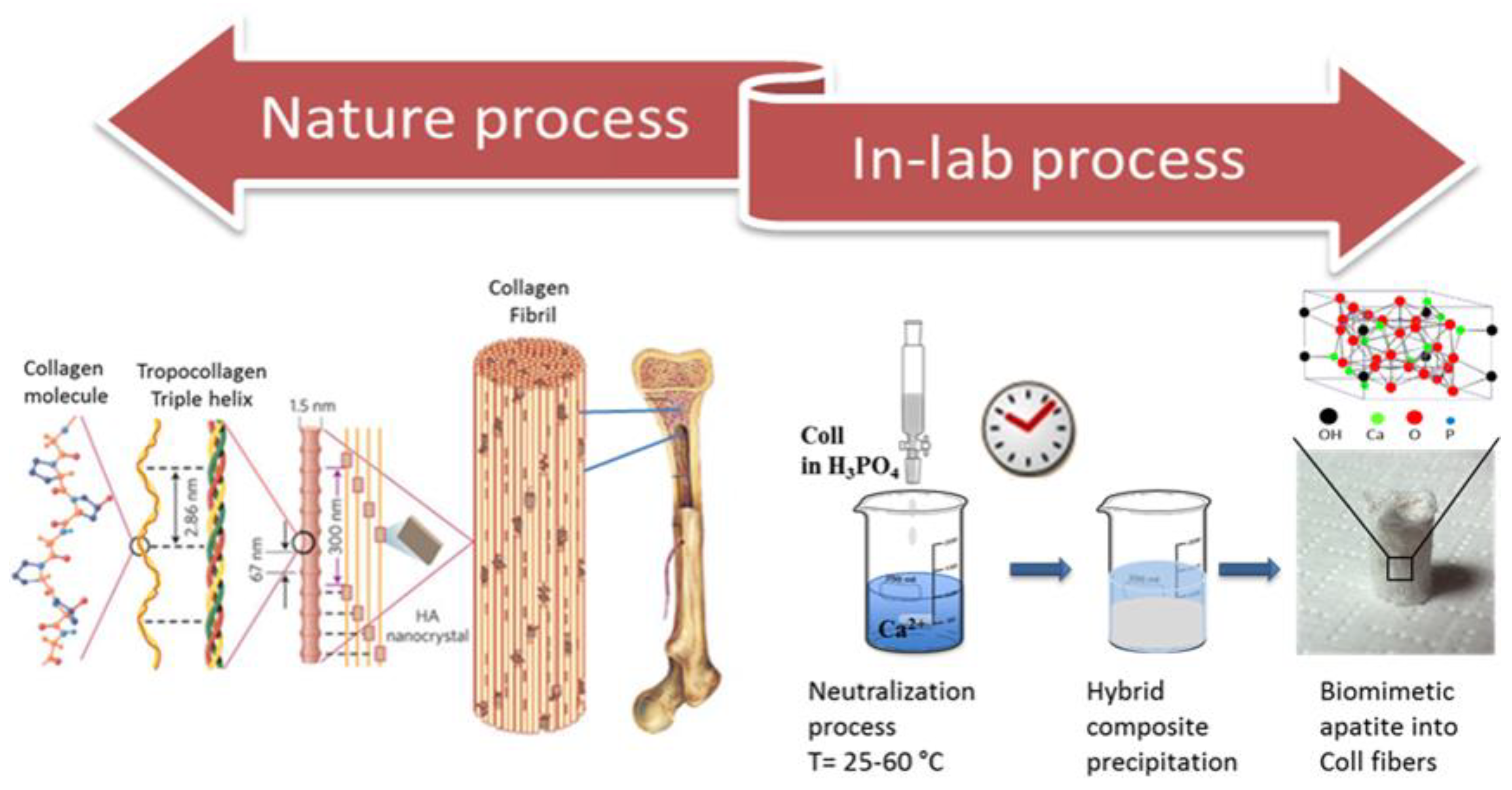 Jcs 05 00278 g001 Jcs 05 00278 g001