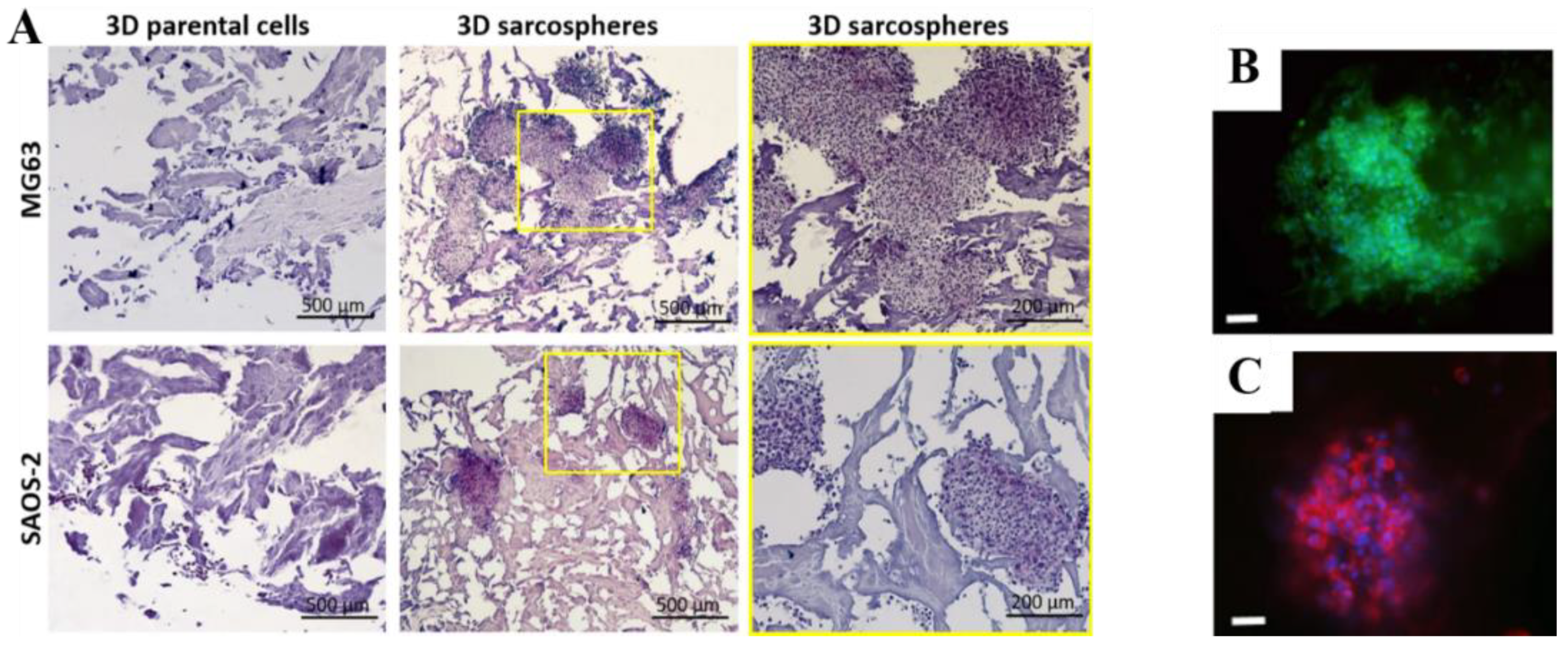 Jcs 05 00278 g004 Jcs 05 00278 g004
