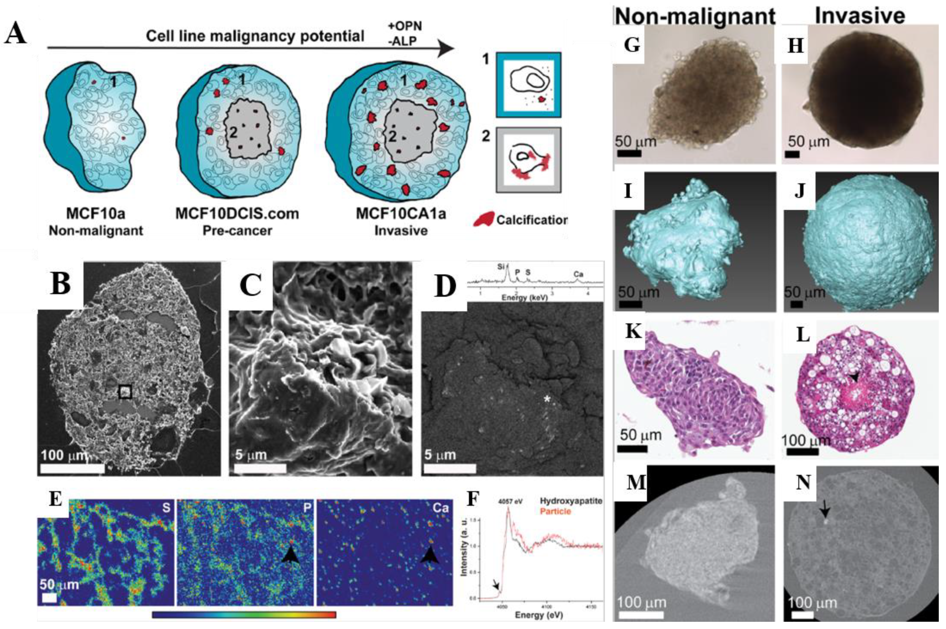 Jcs 05 00278 g005 Jcs 05 00278 g005