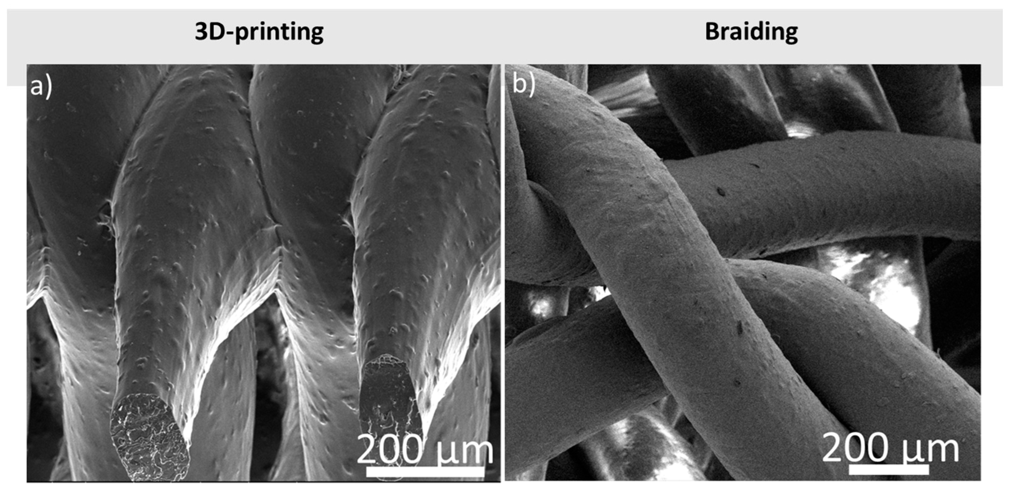 Jcs 07 00104 g005 Jcs 07 00104 g005