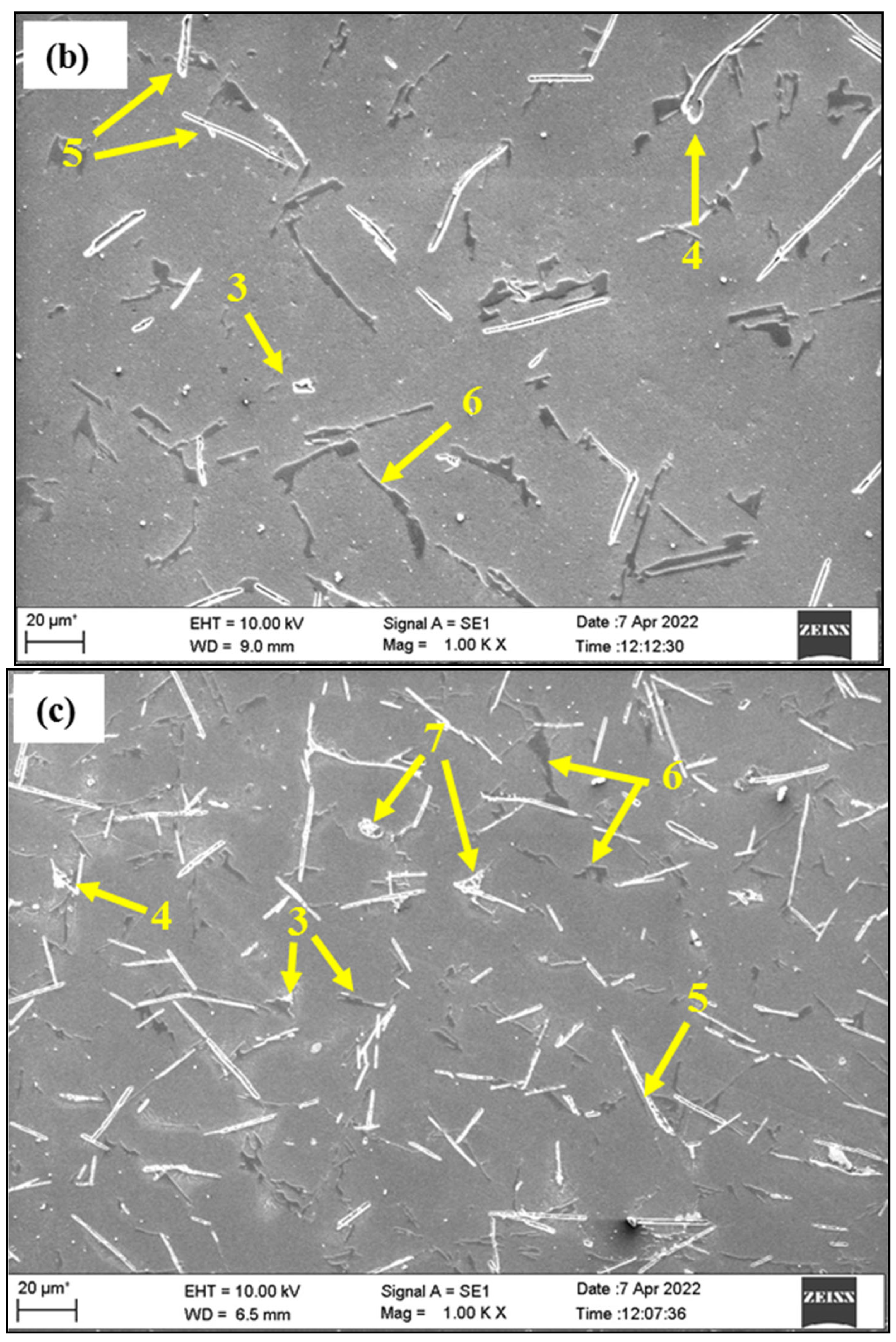 Jcs 07 00149 g004b Jcs 07 00149 g004b