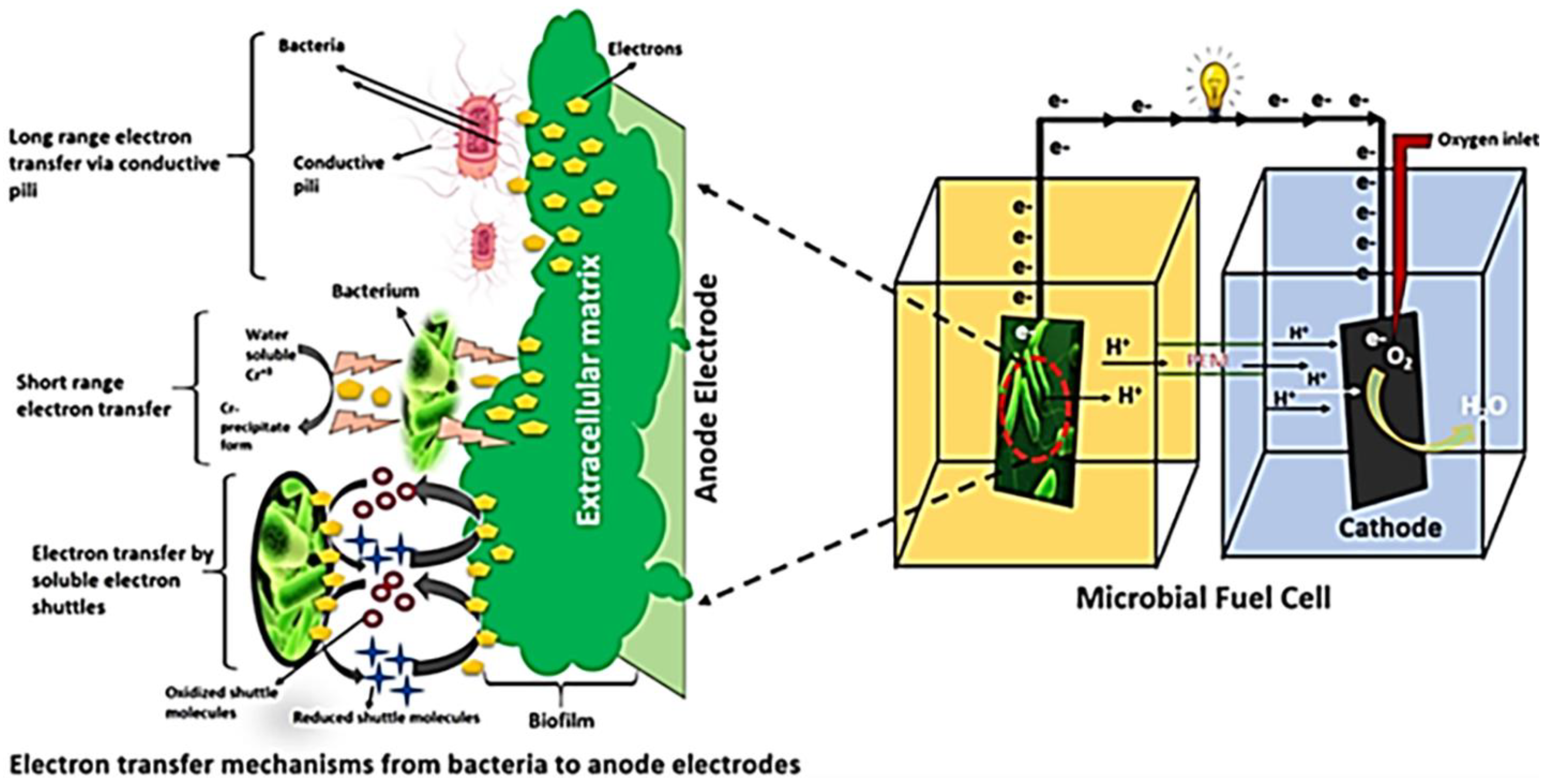 Jcs 07 00166 g003 Jcs 07 00166 g003