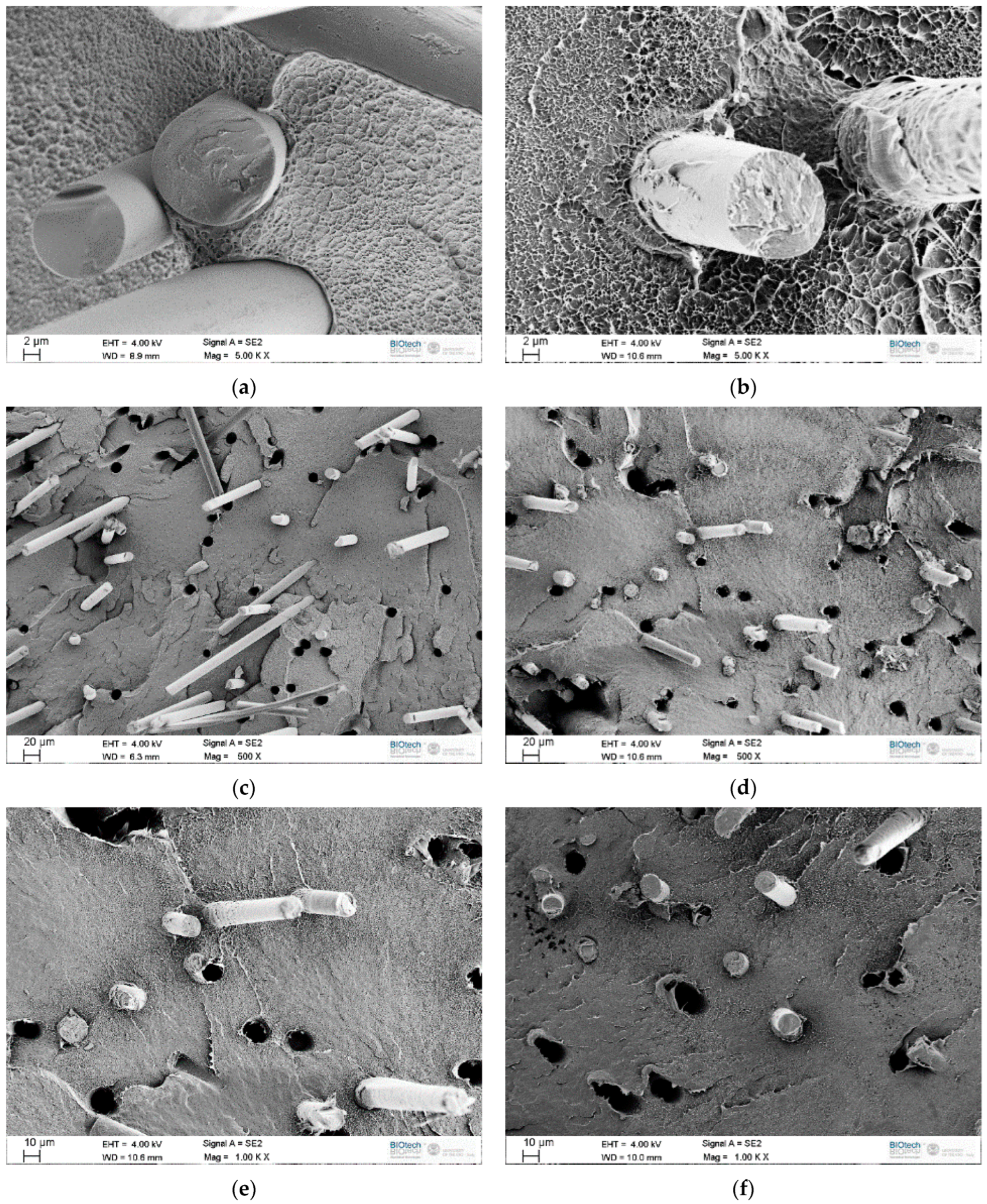Jcs 07 00320 g005 Jcs 07 00320 g005