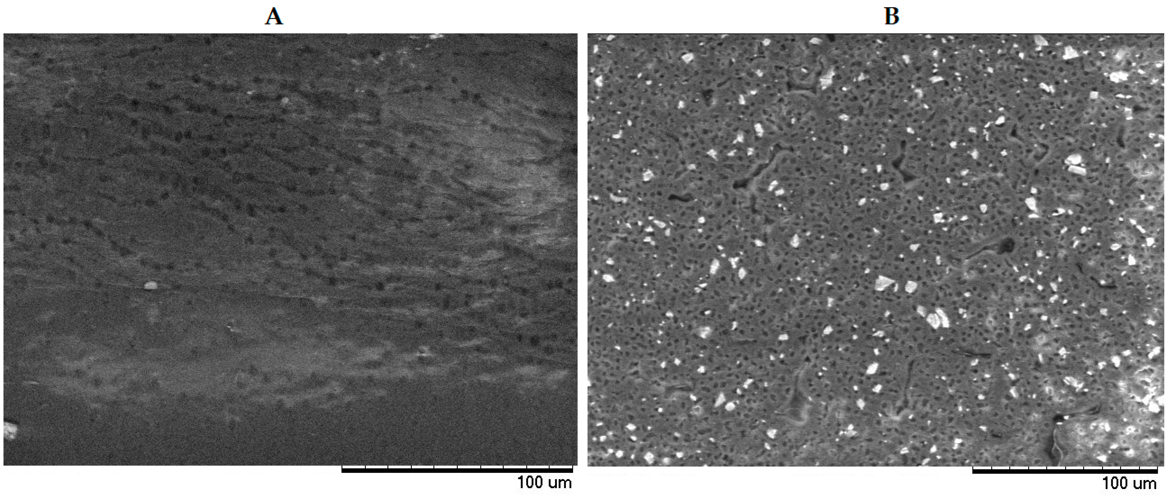 Jcs 07 00346 g004 Jcs 07 00346 g004