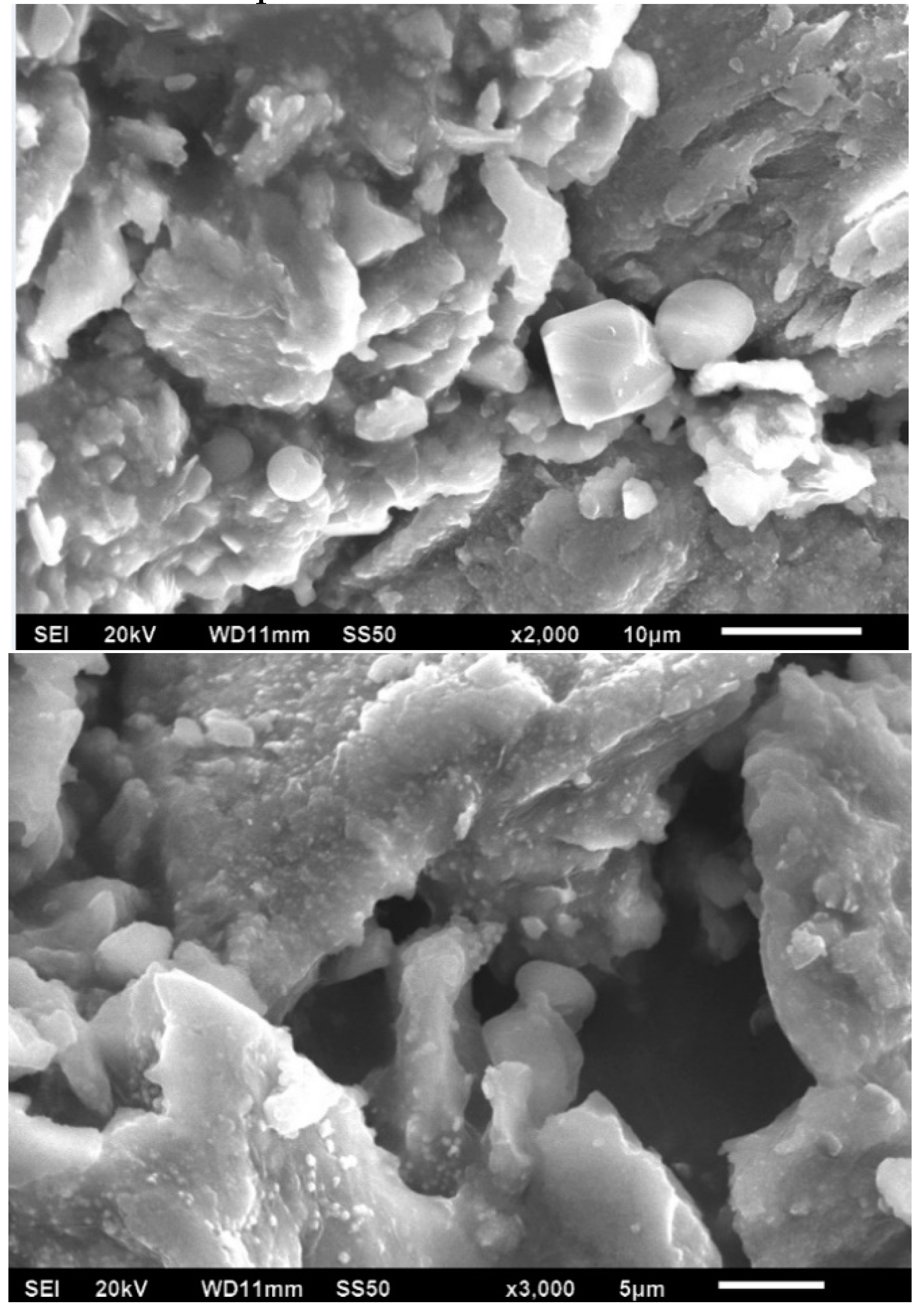 Jcs 08 00142 g003 Jcs 08 00142 g003