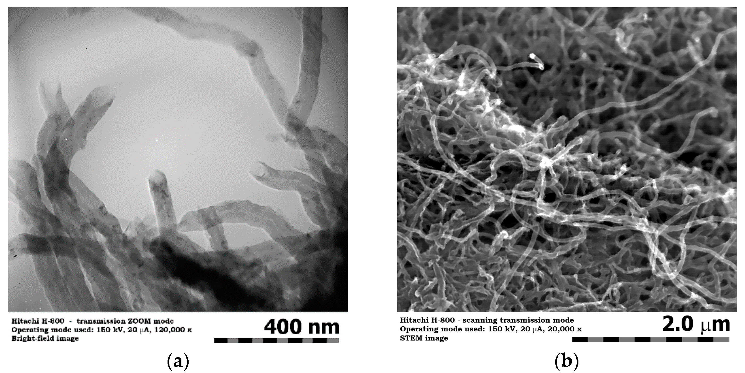 Jcs 09 00429 g005 Jcs 09 00429 g005