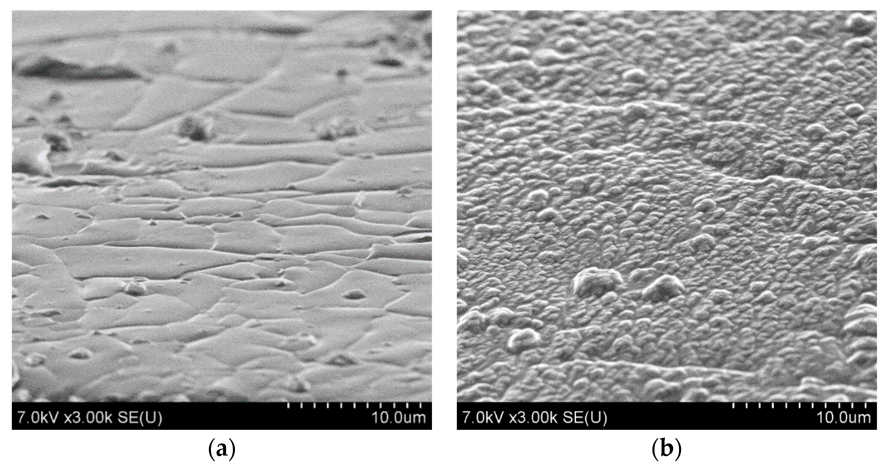 Jcs 09 00429 g011 Jcs 09 00429 g011