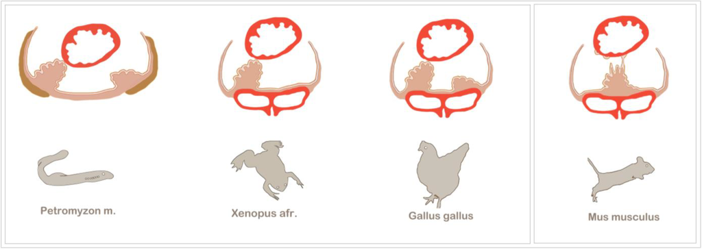 Jdb 01 00126 g003 1024