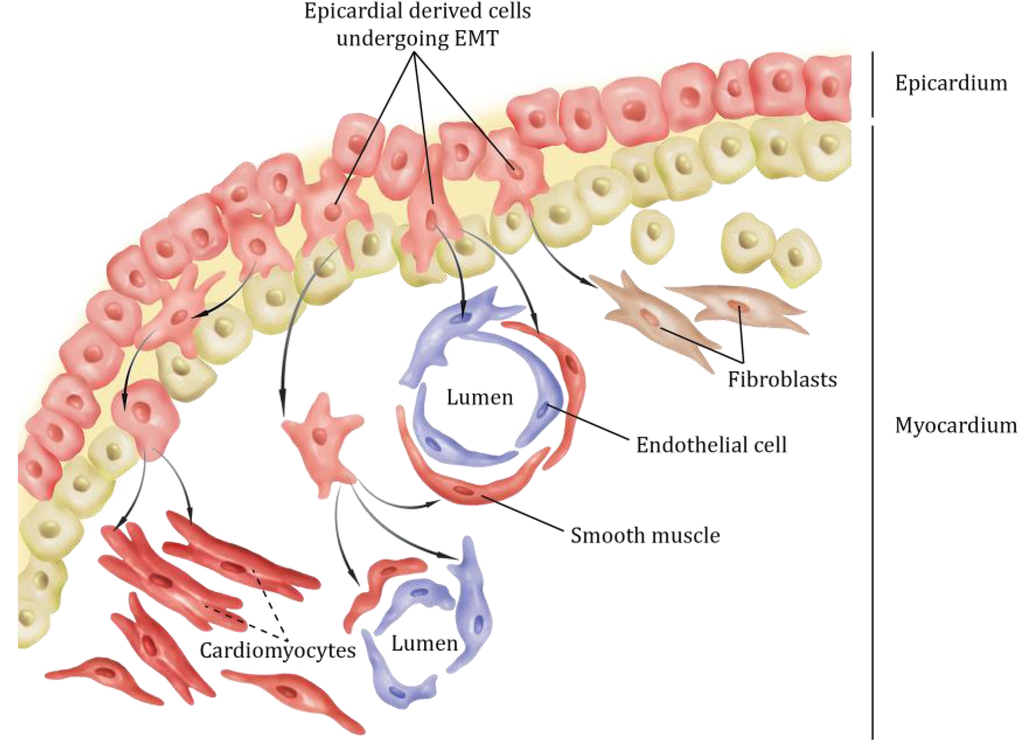 Jdb 01 00141 g001 1024