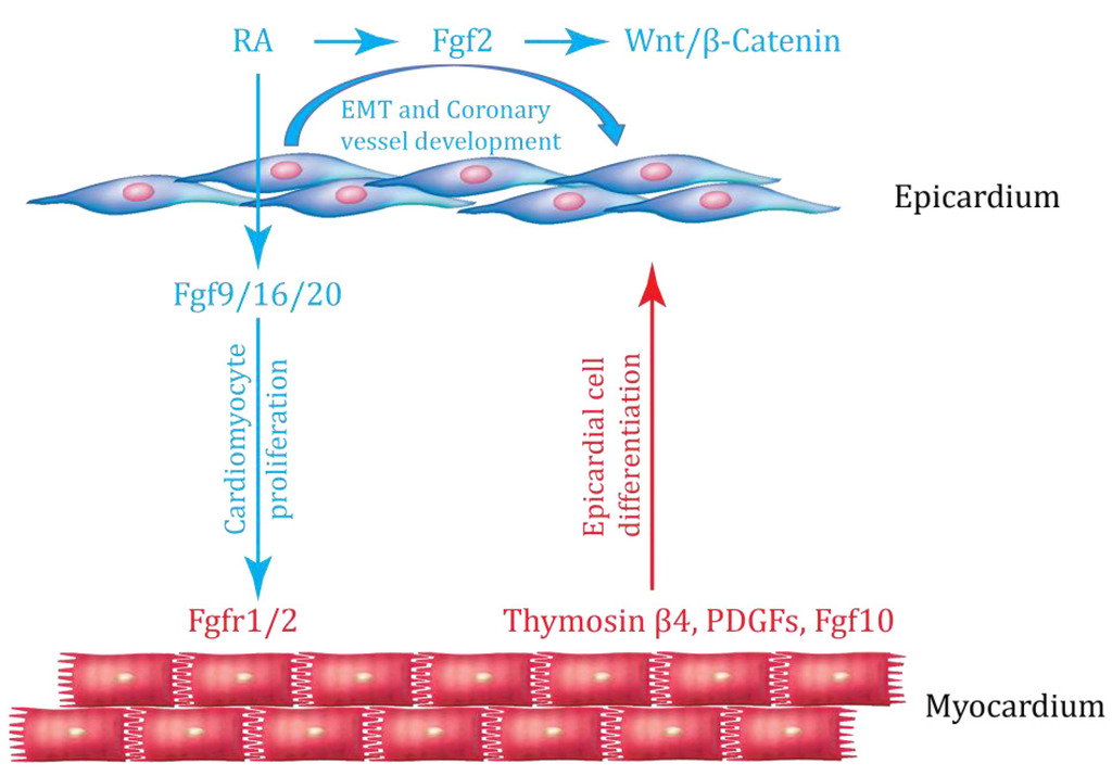 Jdb 01 00141 g003 1024